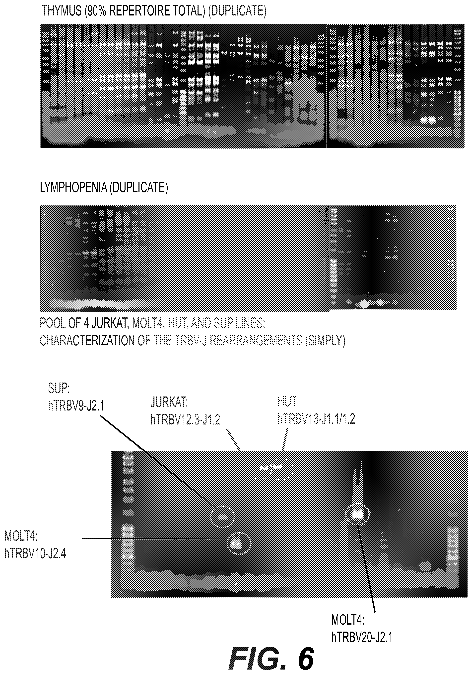 Patent US11773442 Figure 14 – Method for studying V(D)J combinatory diversity