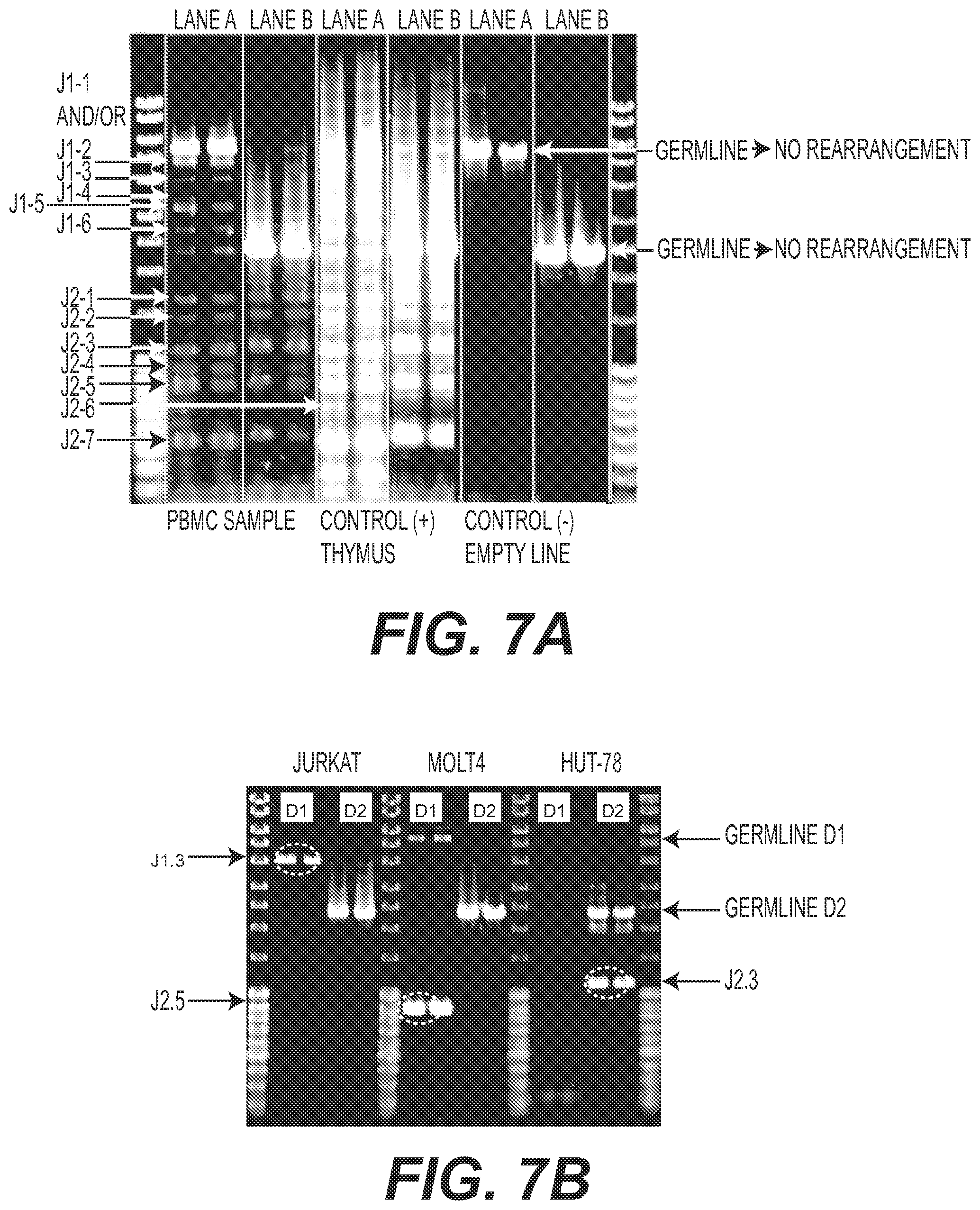 Patent US11773442 Figure 15 – Method for studying V(D)J combinatory diversity