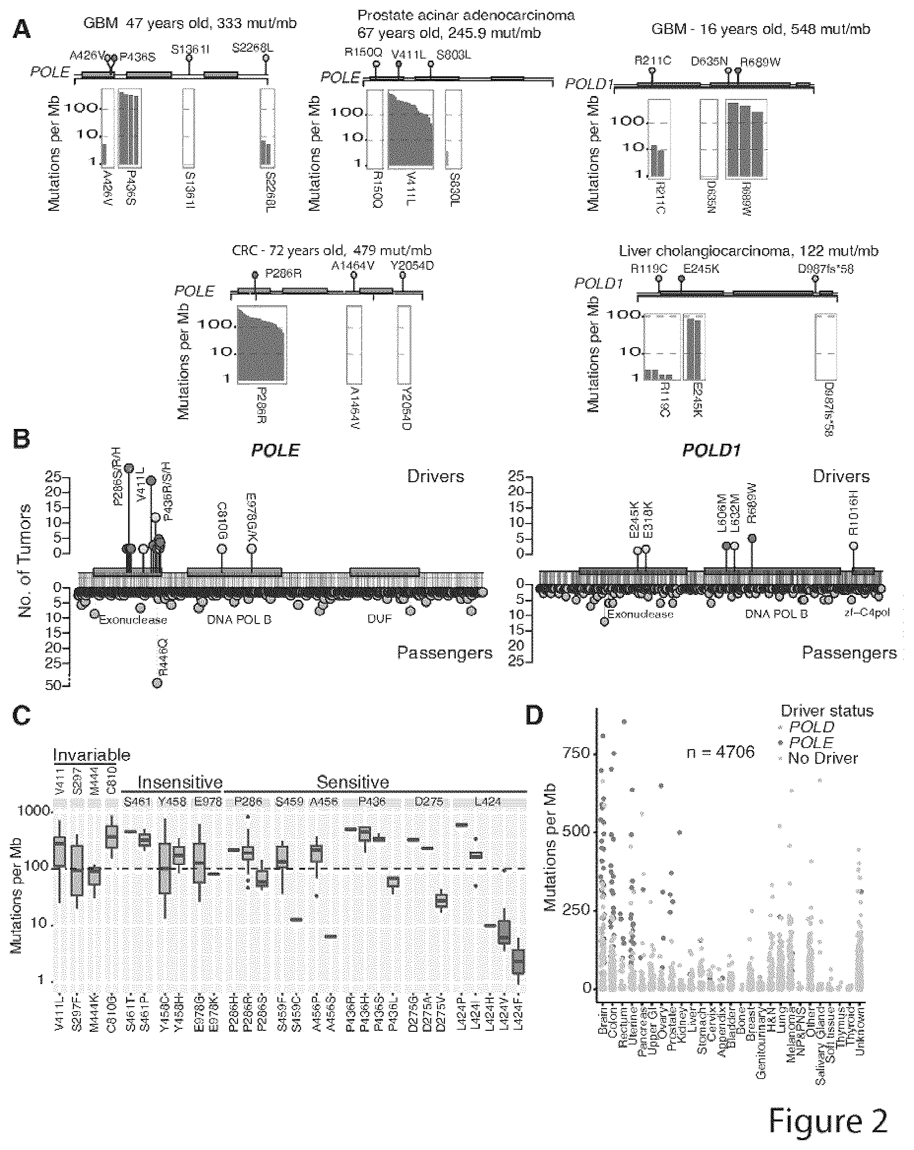 Patent US11773449 Figure 2 – Profiling and treatment of hypermutant cancer