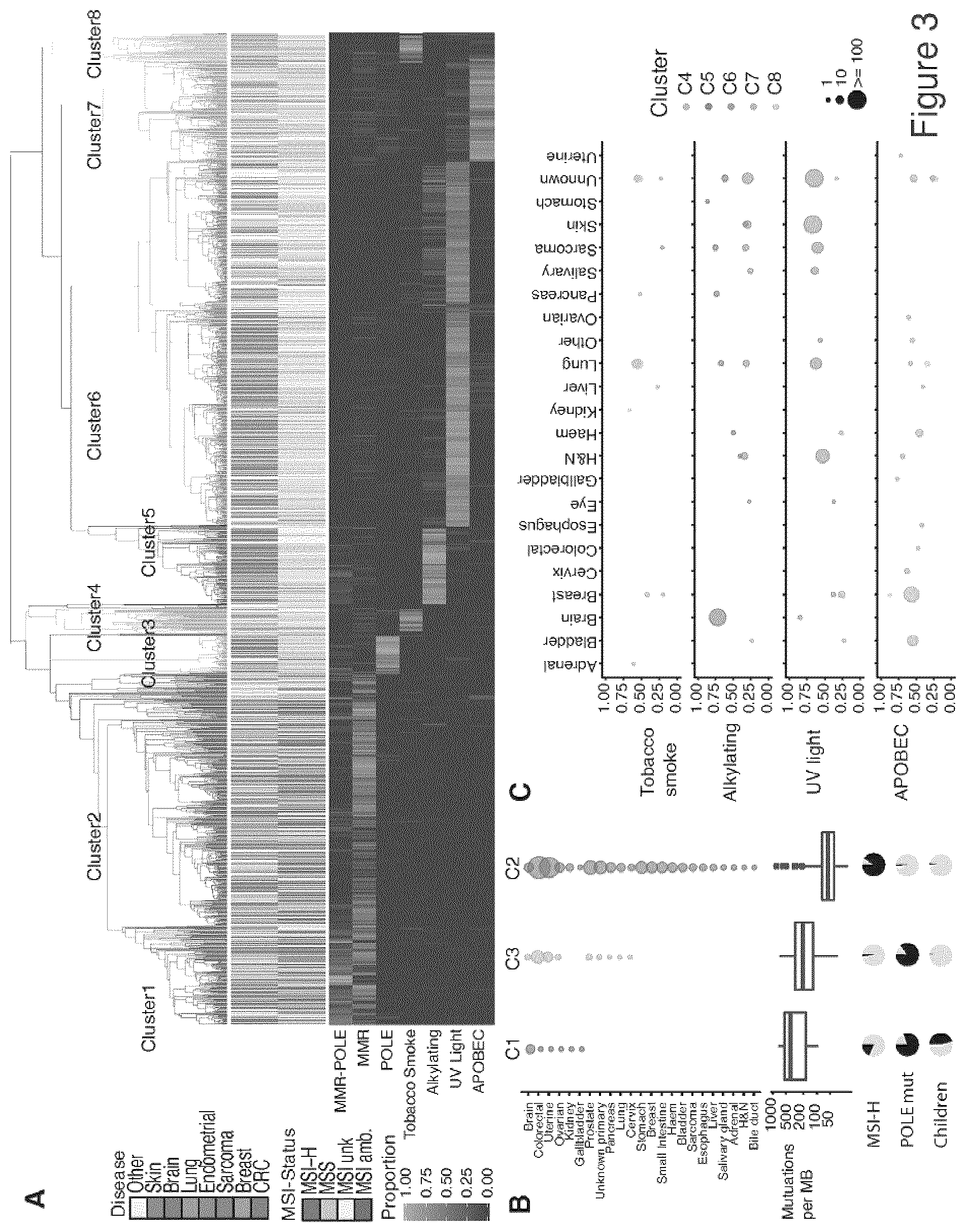 Patent US11773449 Figure 3 – Profiling and treatment of hypermutant cancer