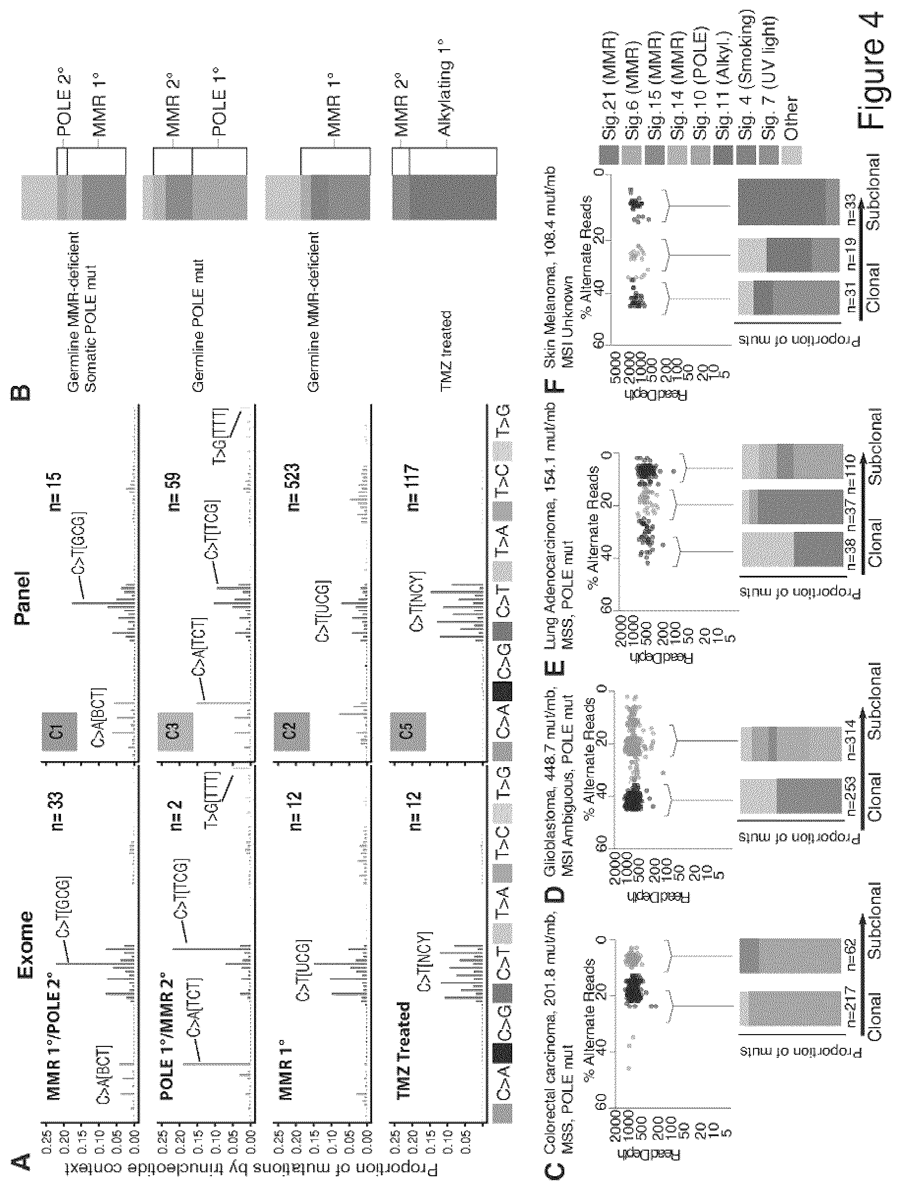 Patent US11773449 Figure 4 – Profiling and treatment of hypermutant cancer