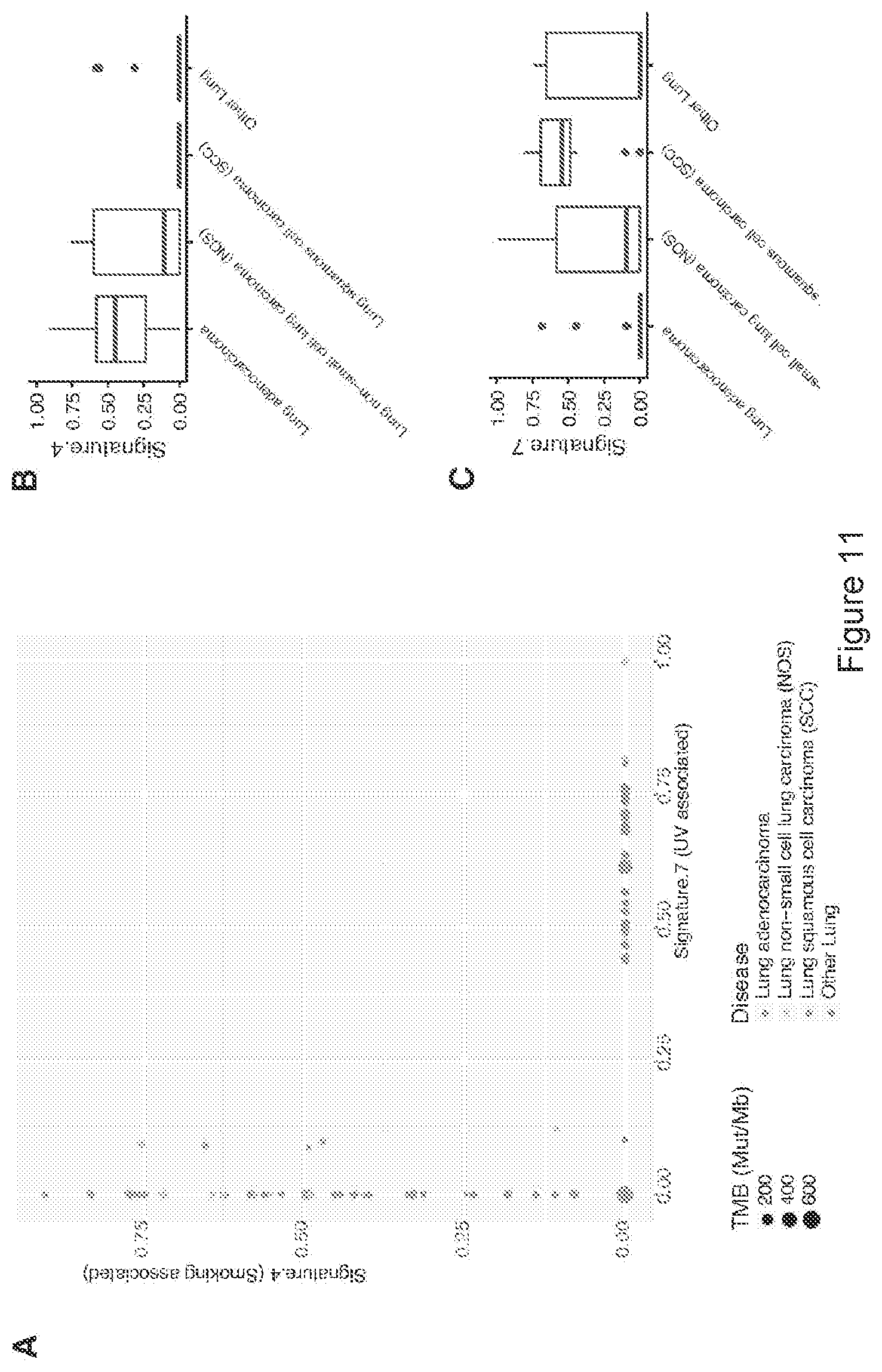 Patent US11773449 Figure 11 – Profiling and treatment of hypermutant cancer