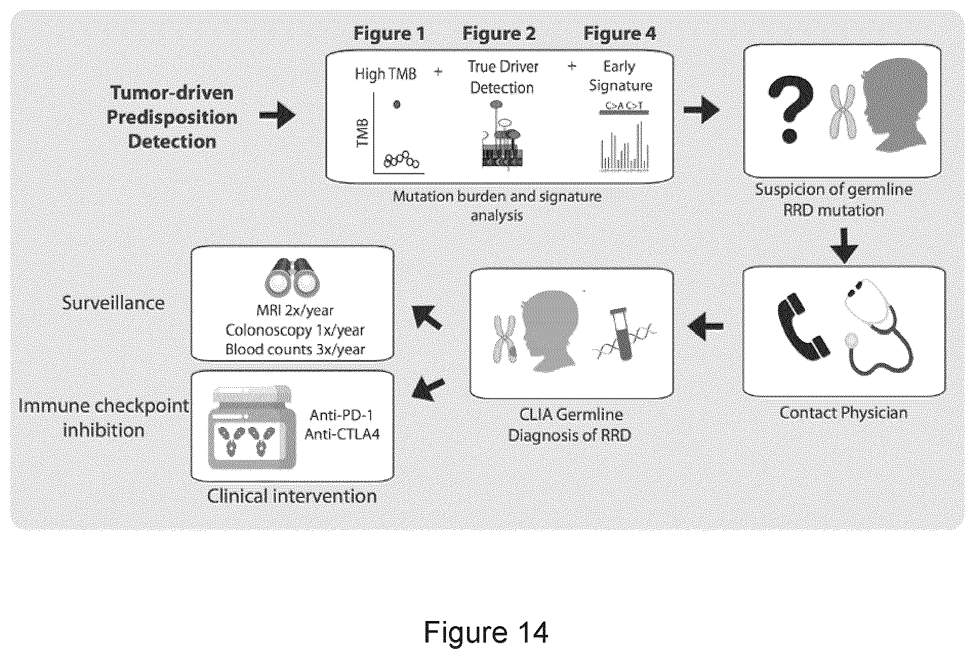 Patent US11773449 Figure 14 – Profiling and treatment of hypermutant cancer