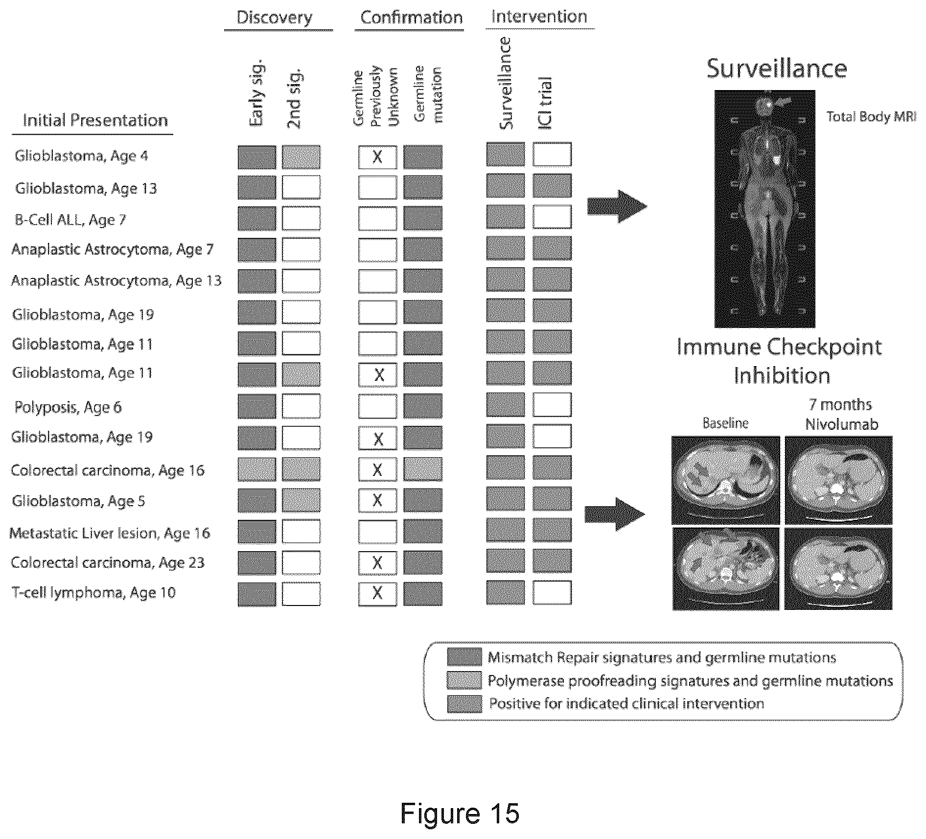 Patent US11773449 Figure 15 – Profiling and treatment of hypermutant cancer