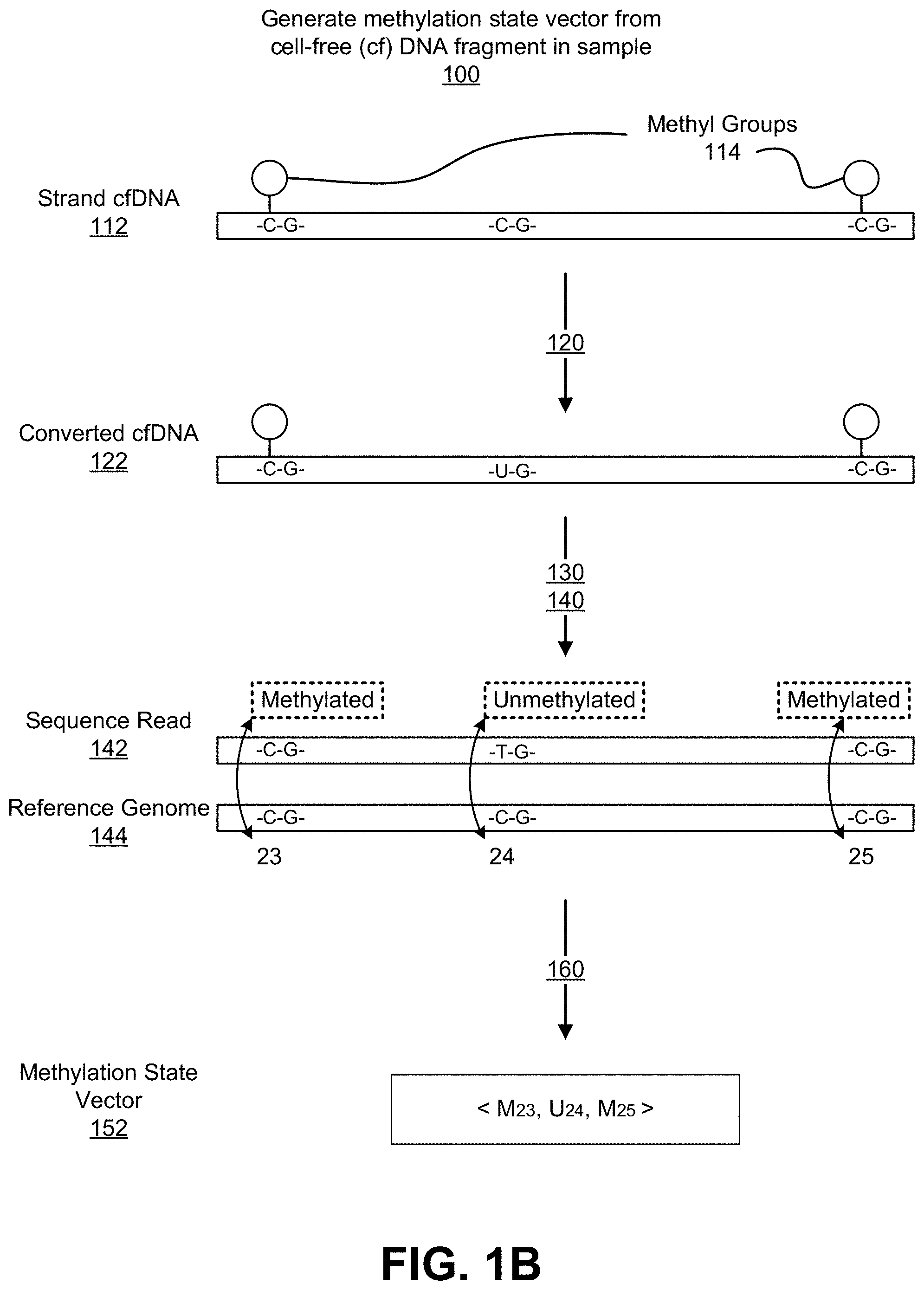 Patent US11773450 Figure 2 – Methylation-based false positive duplicate marking reduction