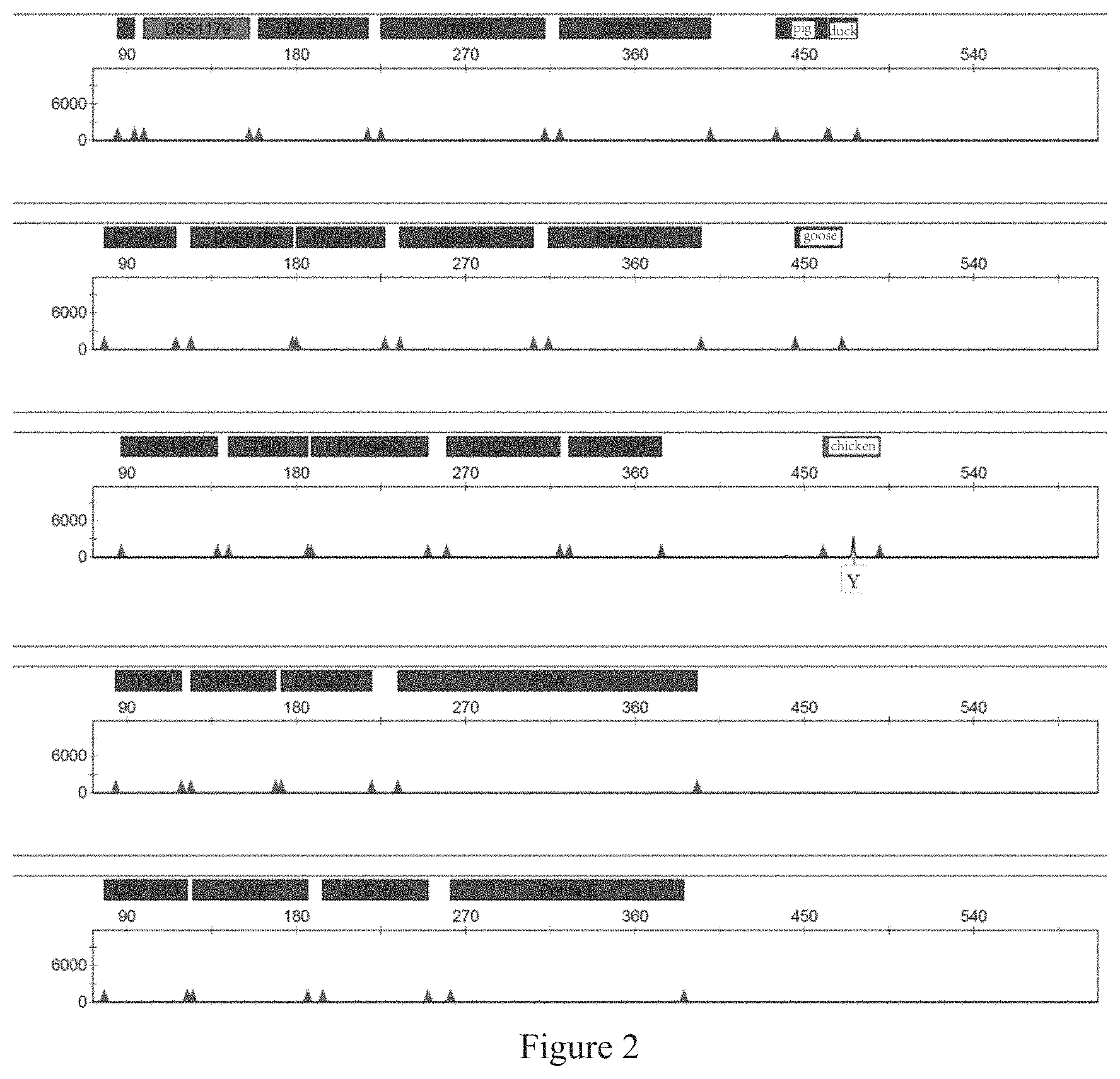 Patent US11773454 Figure 2 – Multiplex PCR amplification method for species and human individual recognition and identification of unknown biological sample suspected to be from human