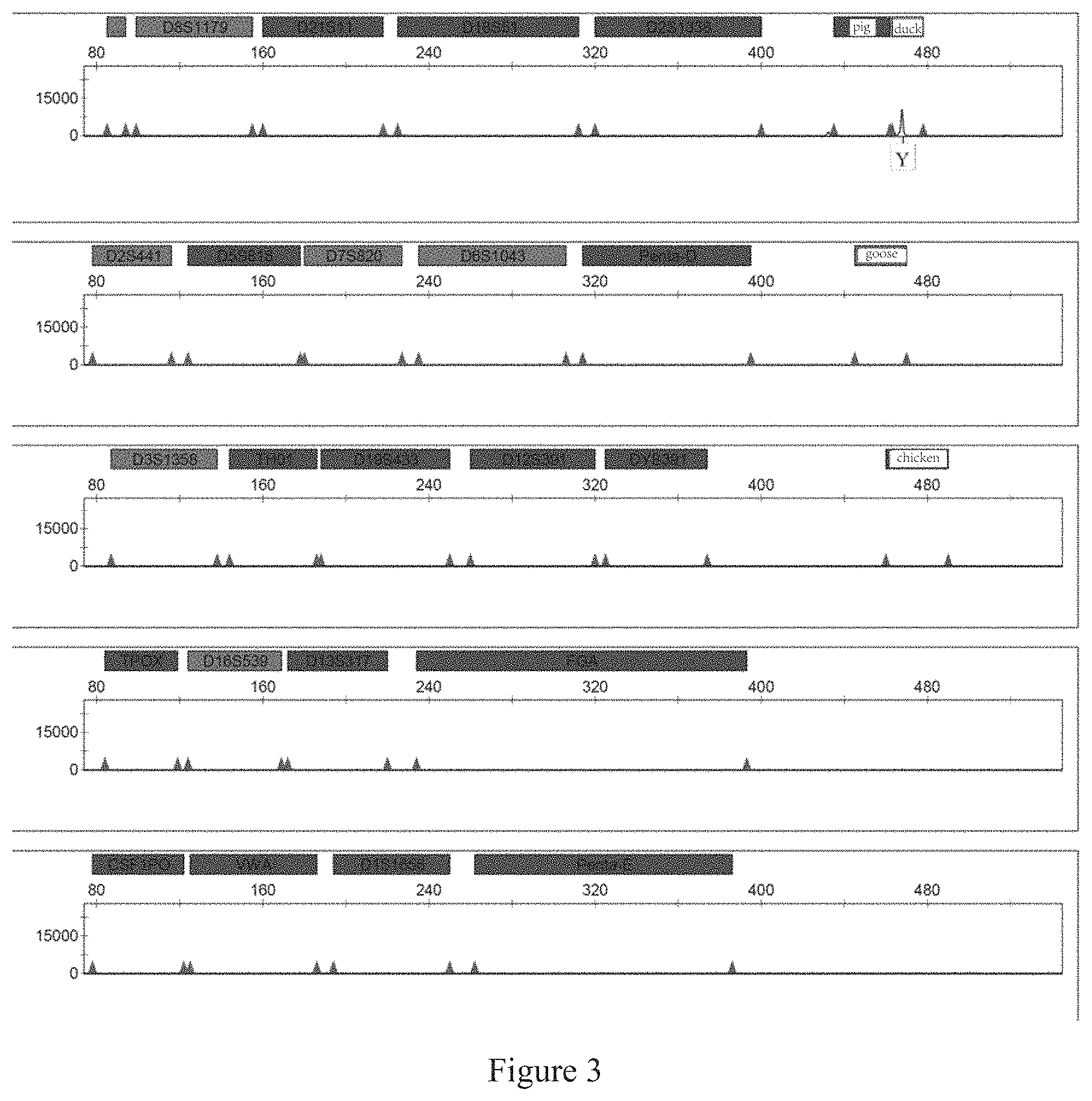 Patent US11773454 Figure 3 – Multiplex PCR amplification method for species and human individual recognition and identification of unknown biological sample suspected to be from human
