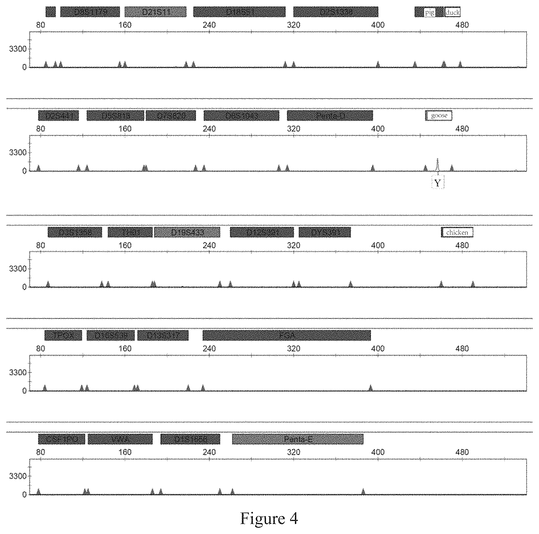 Patent US11773454 Figure 4 – Multiplex PCR amplification method for species and human individual recognition and identification of unknown biological sample suspected to be from human