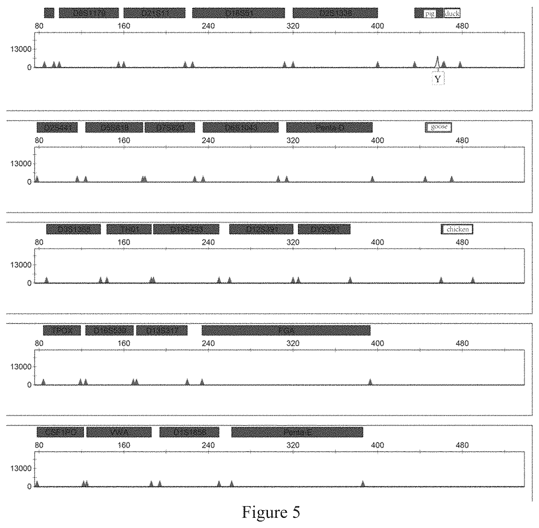 Patent US11773454 Figure 5 – Multiplex PCR amplification method for species and human individual recognition and identification of unknown biological sample suspected to be from human