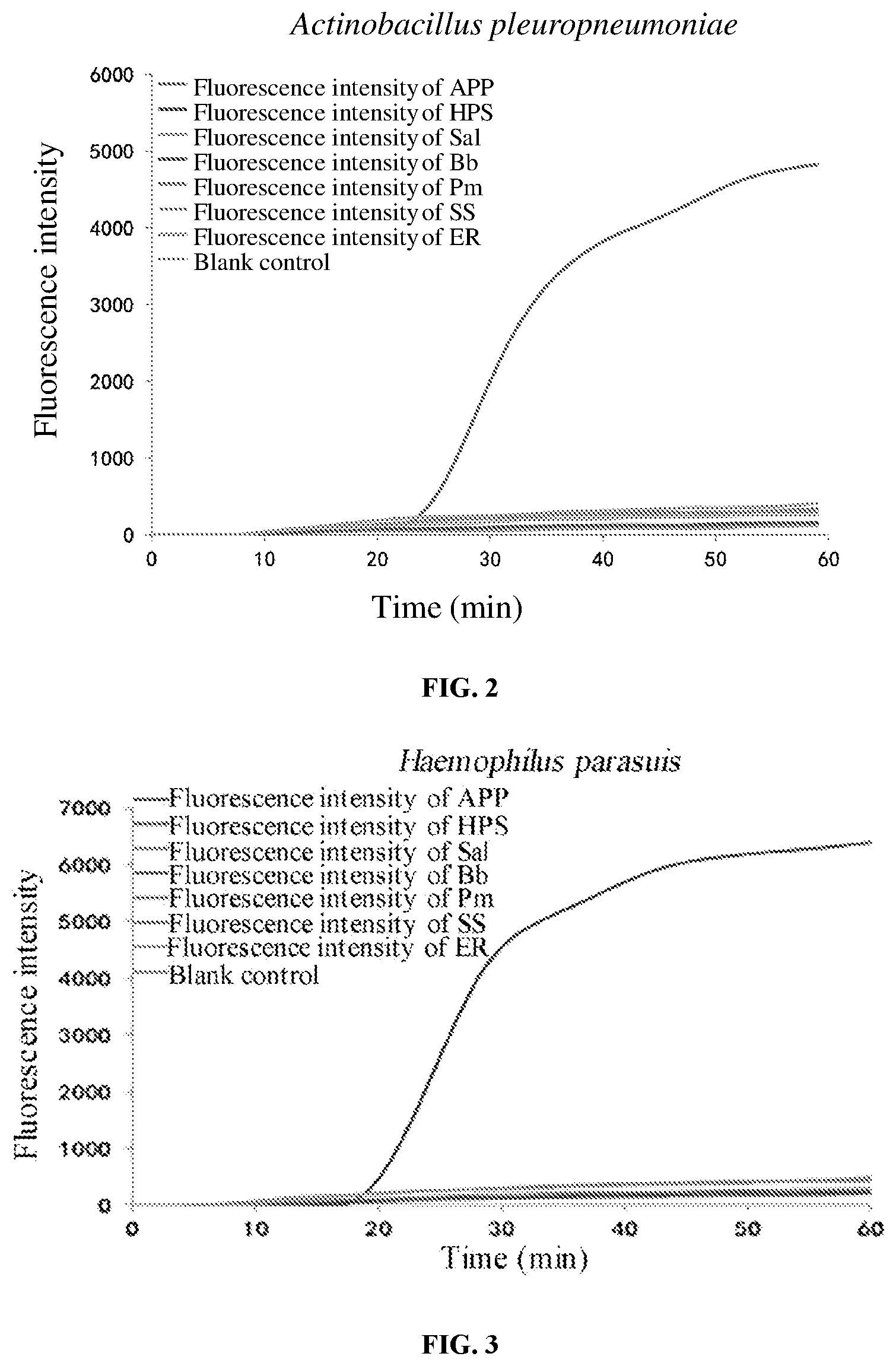 Patent US11773456 Figure 2 – Loop-mediated isothermal amplification (LAMP) primer sets for detecting porcine susceptibility-related pathogenic bacteria, and kit, LAMP chip and use based on the same