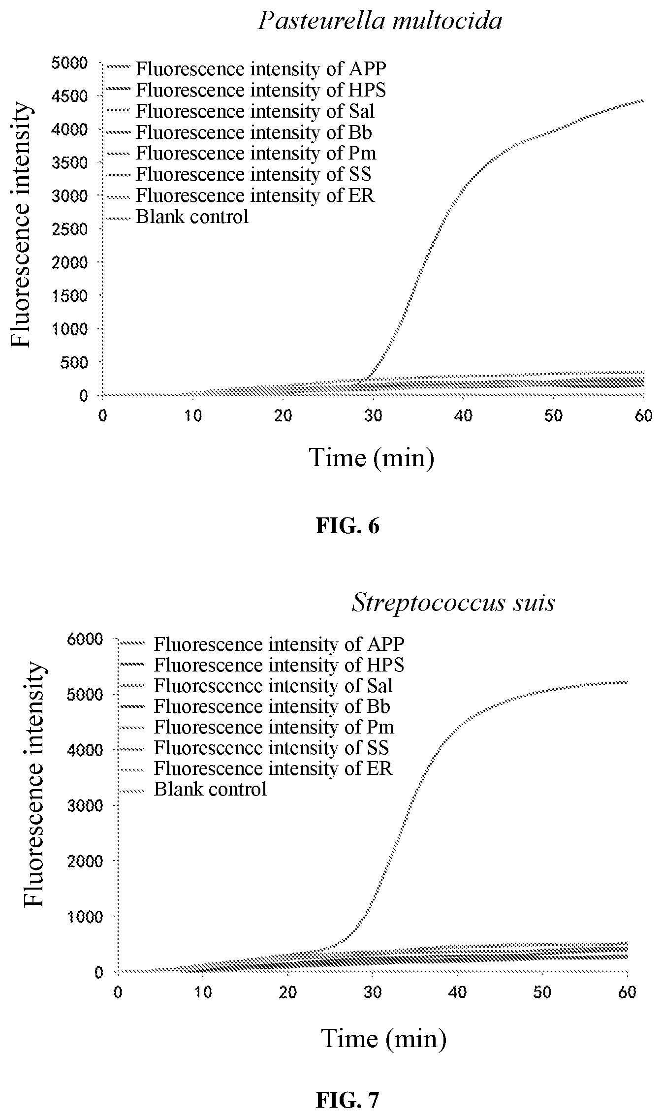 Patent US11773456 Figure 4 – Loop-mediated isothermal amplification (LAMP) primer sets for detecting porcine susceptibility-related pathogenic bacteria, and kit, LAMP chip and use based on the same