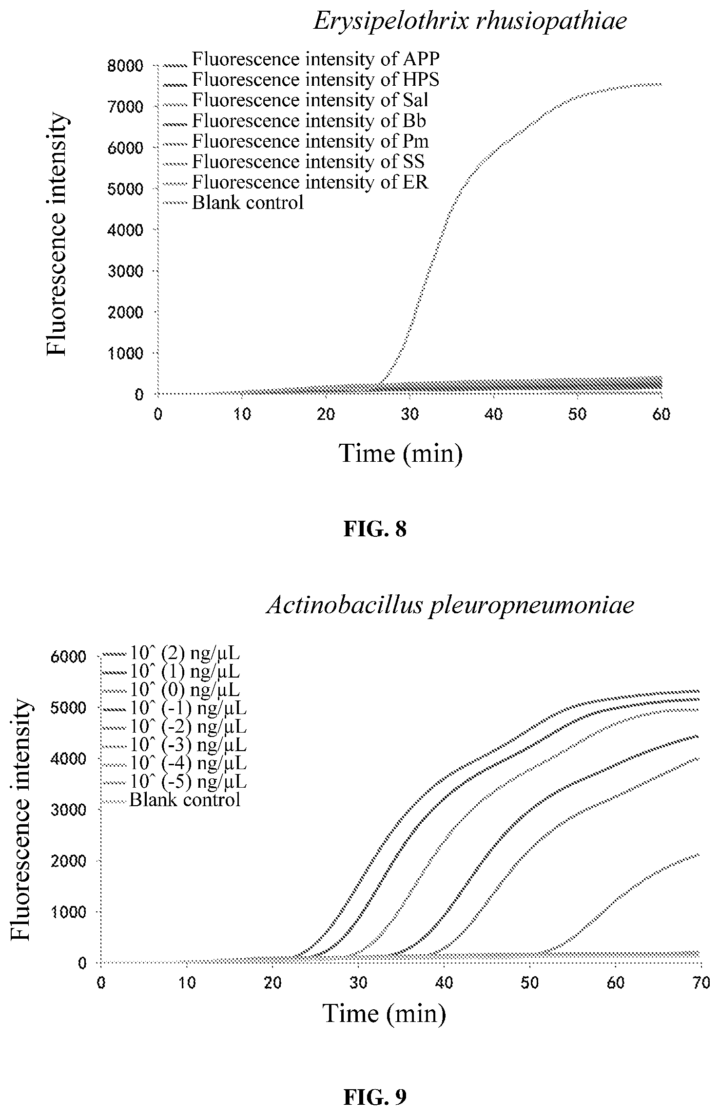 Patent US11773456 Figure 5 – Loop-mediated isothermal amplification (LAMP) primer sets for detecting porcine susceptibility-related pathogenic bacteria, and kit, LAMP chip and use based on the same