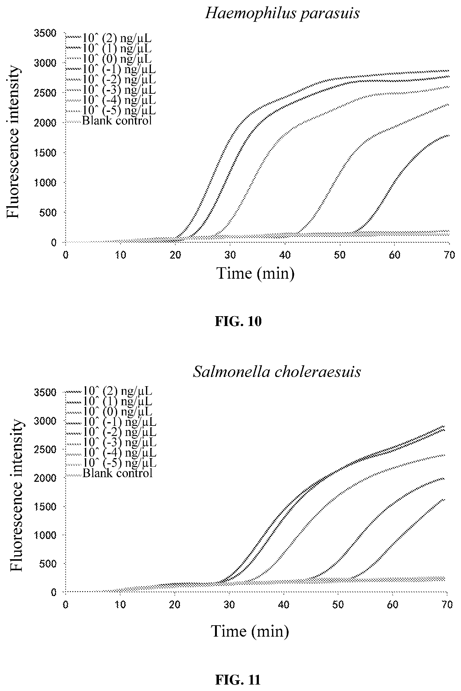 Patent US11773456 Figure 6 – Loop-mediated isothermal amplification (LAMP) primer sets for detecting porcine susceptibility-related pathogenic bacteria, and kit, LAMP chip and use based on the same
