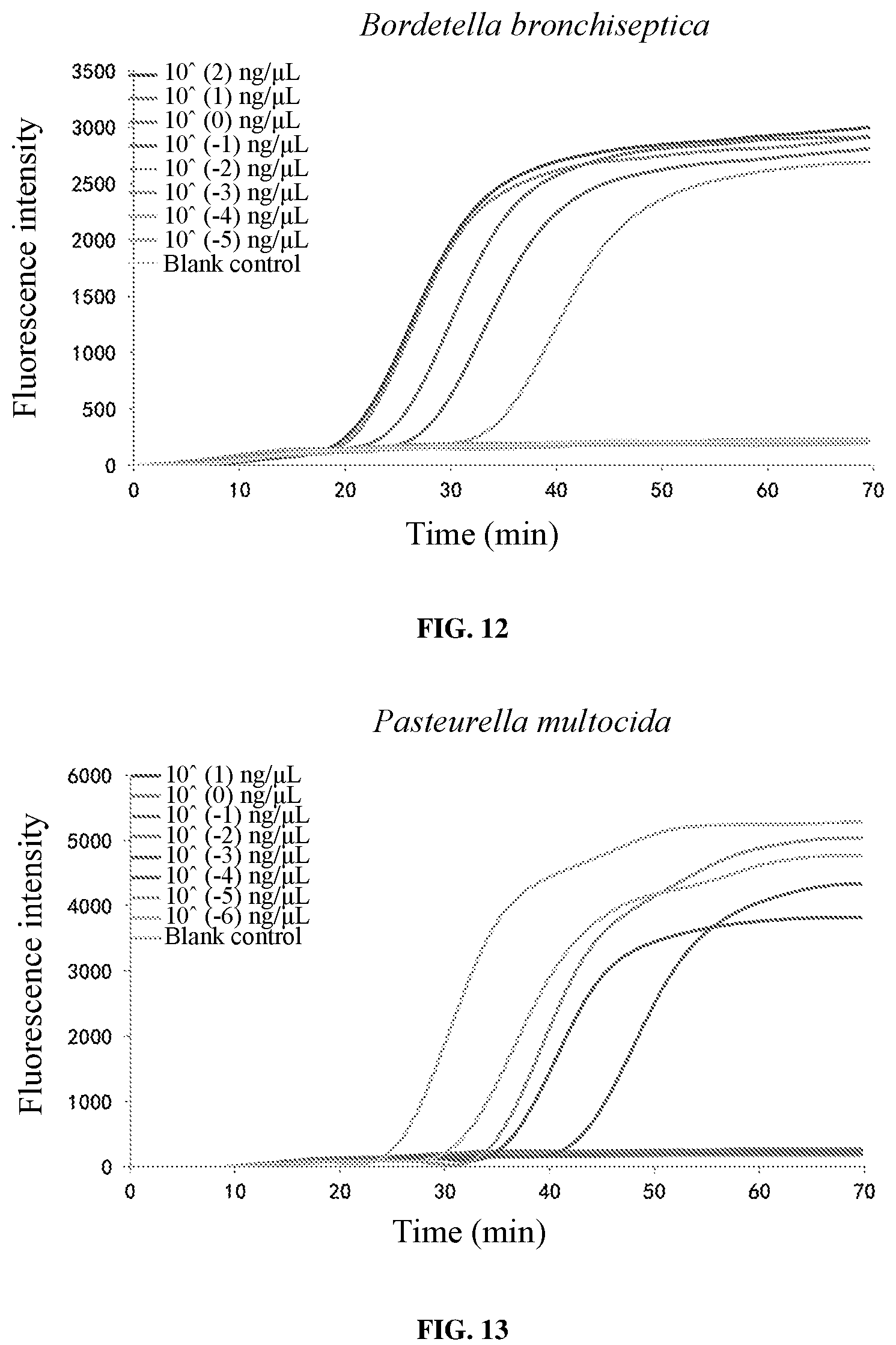 Patent US11773456 Figure 7 – Loop-mediated isothermal amplification (LAMP) primer sets for detecting porcine susceptibility-related pathogenic bacteria, and kit, LAMP chip and use based on the same