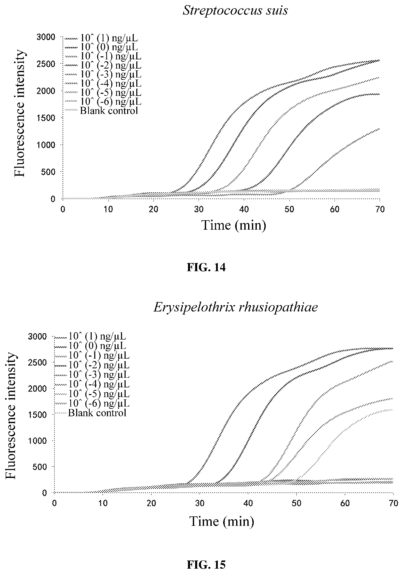 Patent US11773456 Figure 8 – Loop-mediated isothermal amplification (LAMP) primer sets for detecting porcine susceptibility-related pathogenic bacteria, and kit, LAMP chip and use based on the same