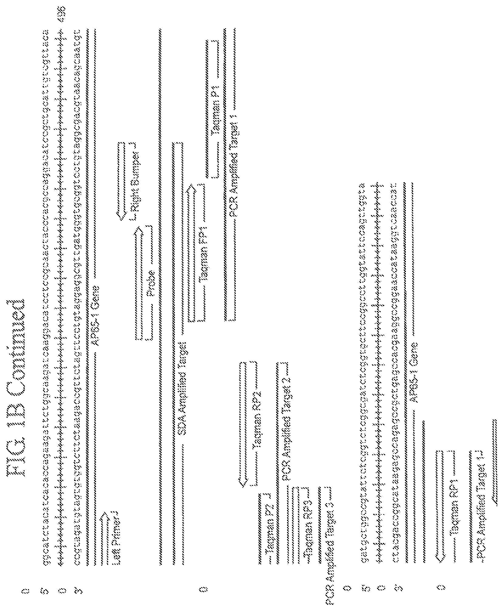 Patent US11773457 Figure 3 – Assay for Trichomonas vaginalis by amplification and detection of Trichomonas vaginalis AP65-1 gene