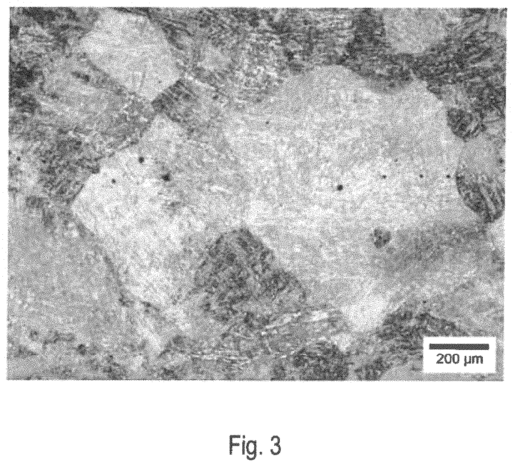 Patent US11773465 Figure 3 – Ultra-high strength weathering steel for hot-stamping applications