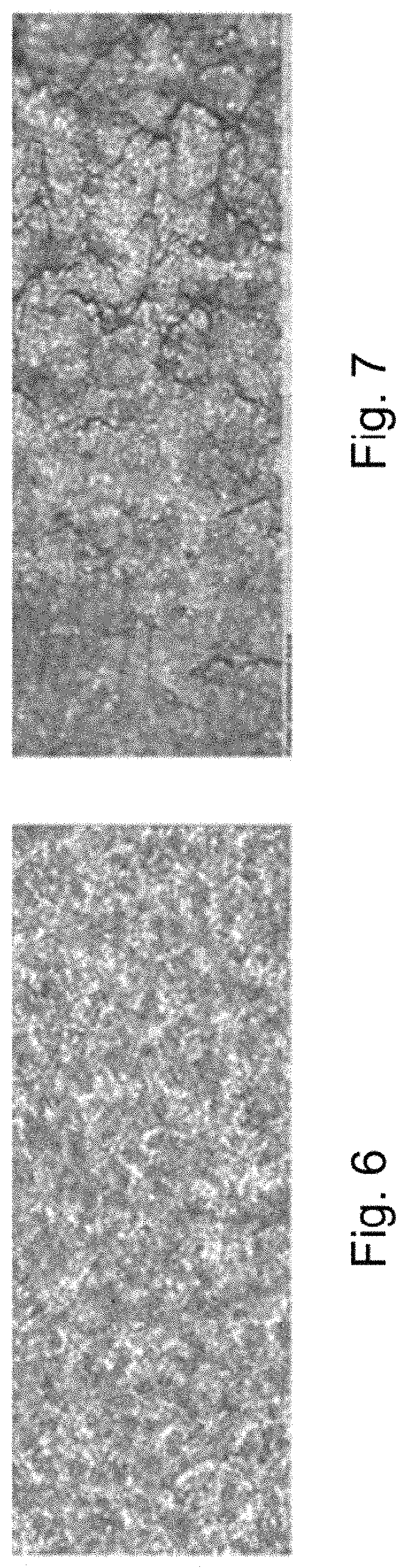 Patent US11773465 Figure 6 – Ultra-high strength weathering steel for hot-stamping applications
