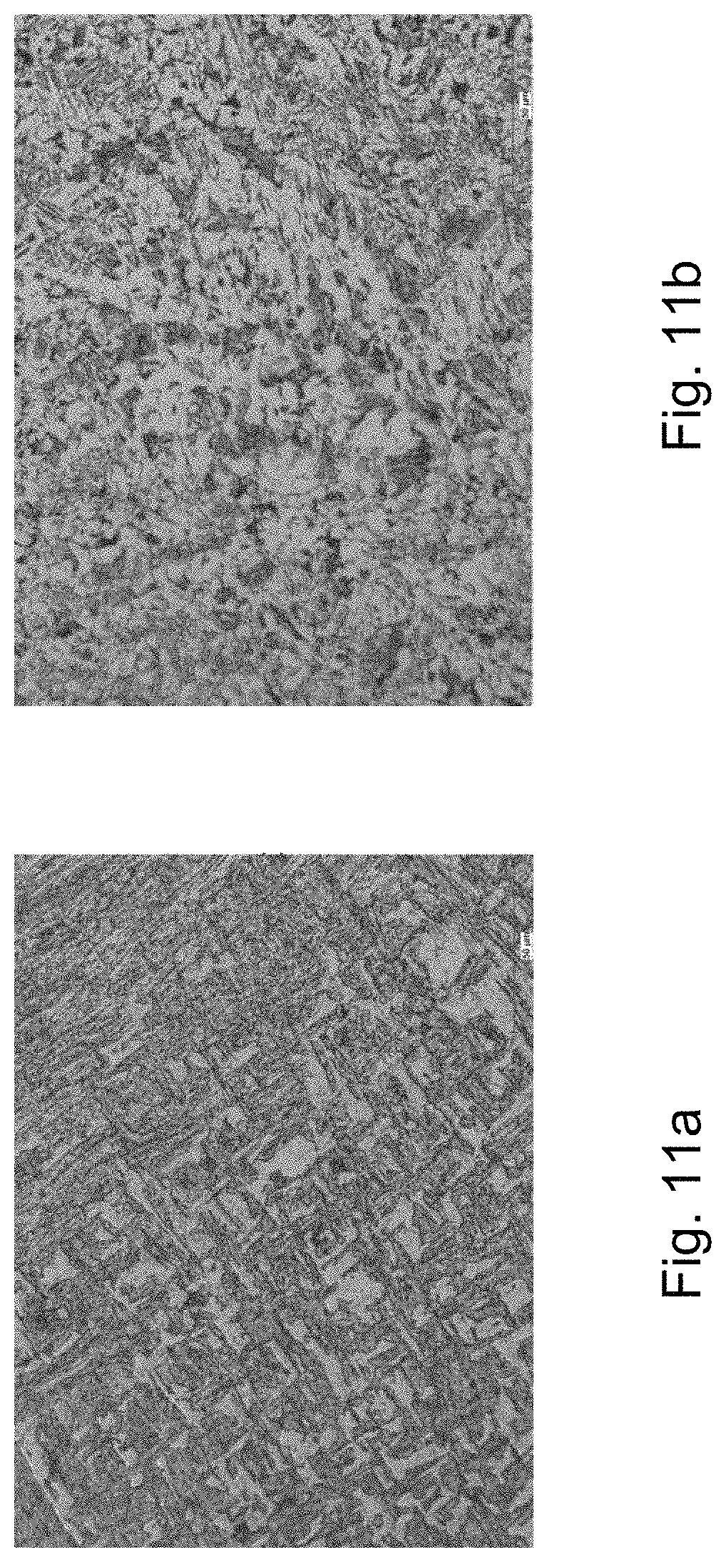 Patent US11773465 Figure 10 – Ultra-high strength weathering steel for hot-stamping applications