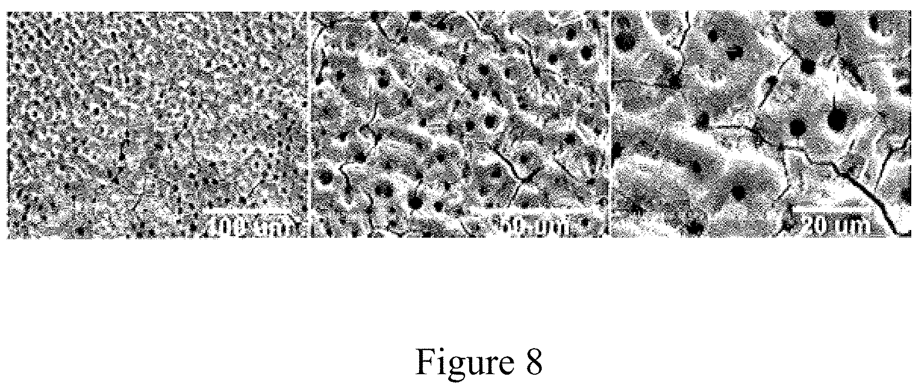 Patent US11773491 Figure 9 – In situ tailoring of material properties in 3D printed electronics