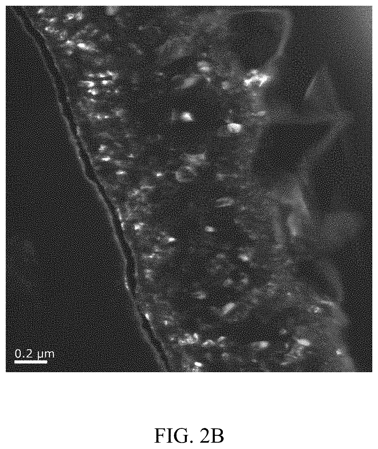 Patent US11773494 Figure 3 – Modified oxide surface treatment layer for alloys and corresponding methods