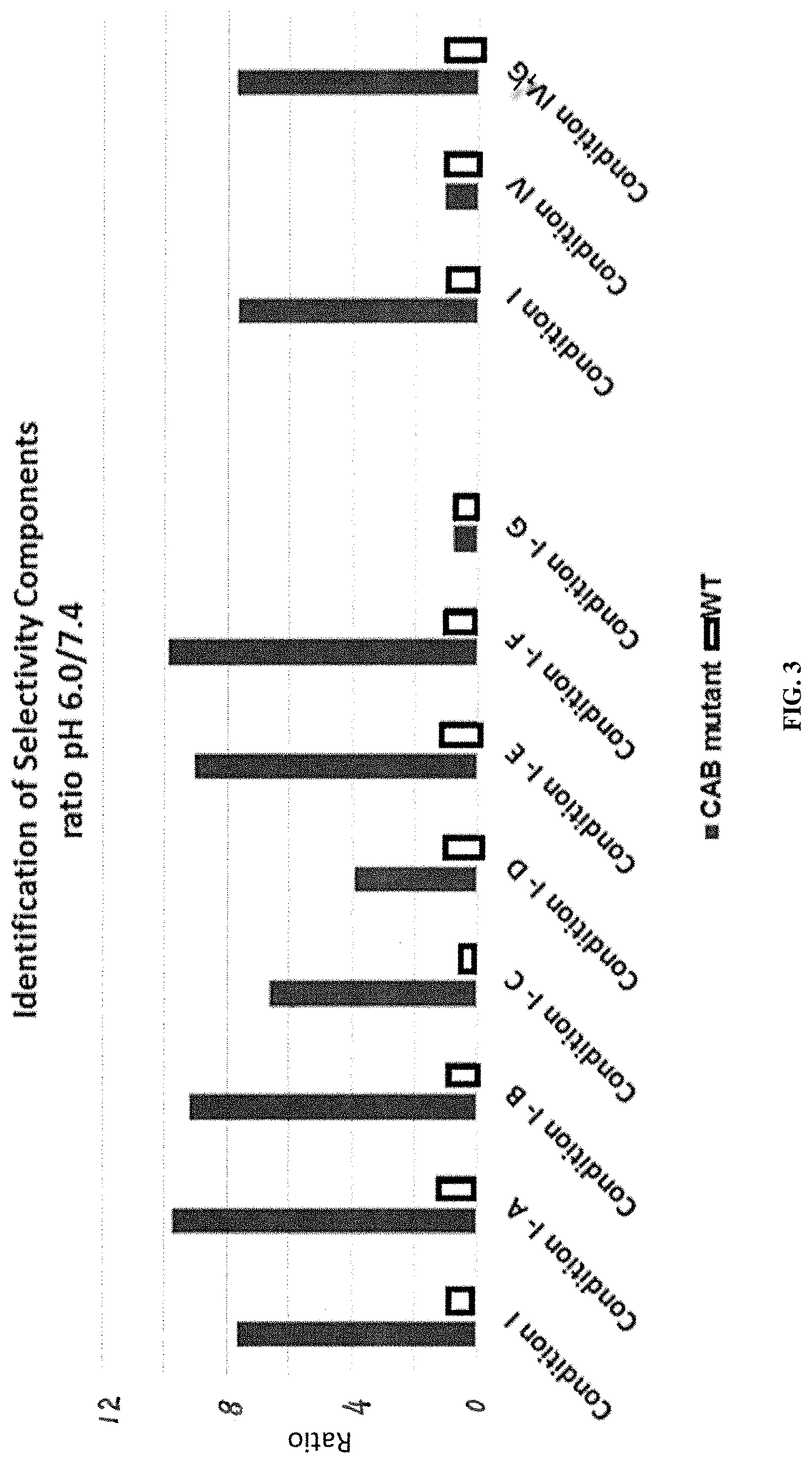 Patent US11773509 Figure 3 – Conditionally active polypeptides and methods of generating them