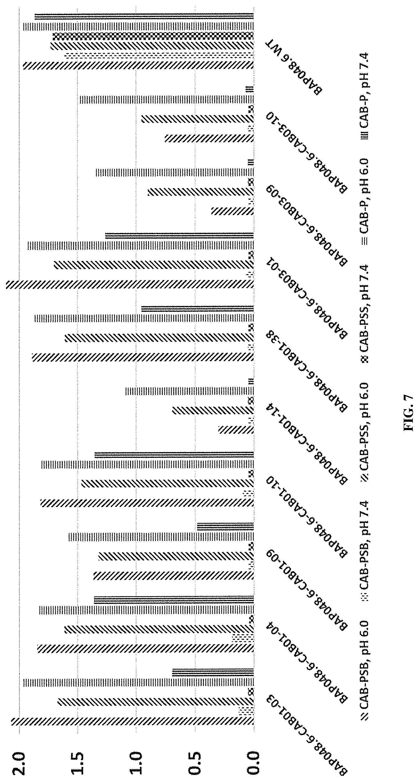 Patent US11773509 Figure 7 – Conditionally active polypeptides and methods of generating them