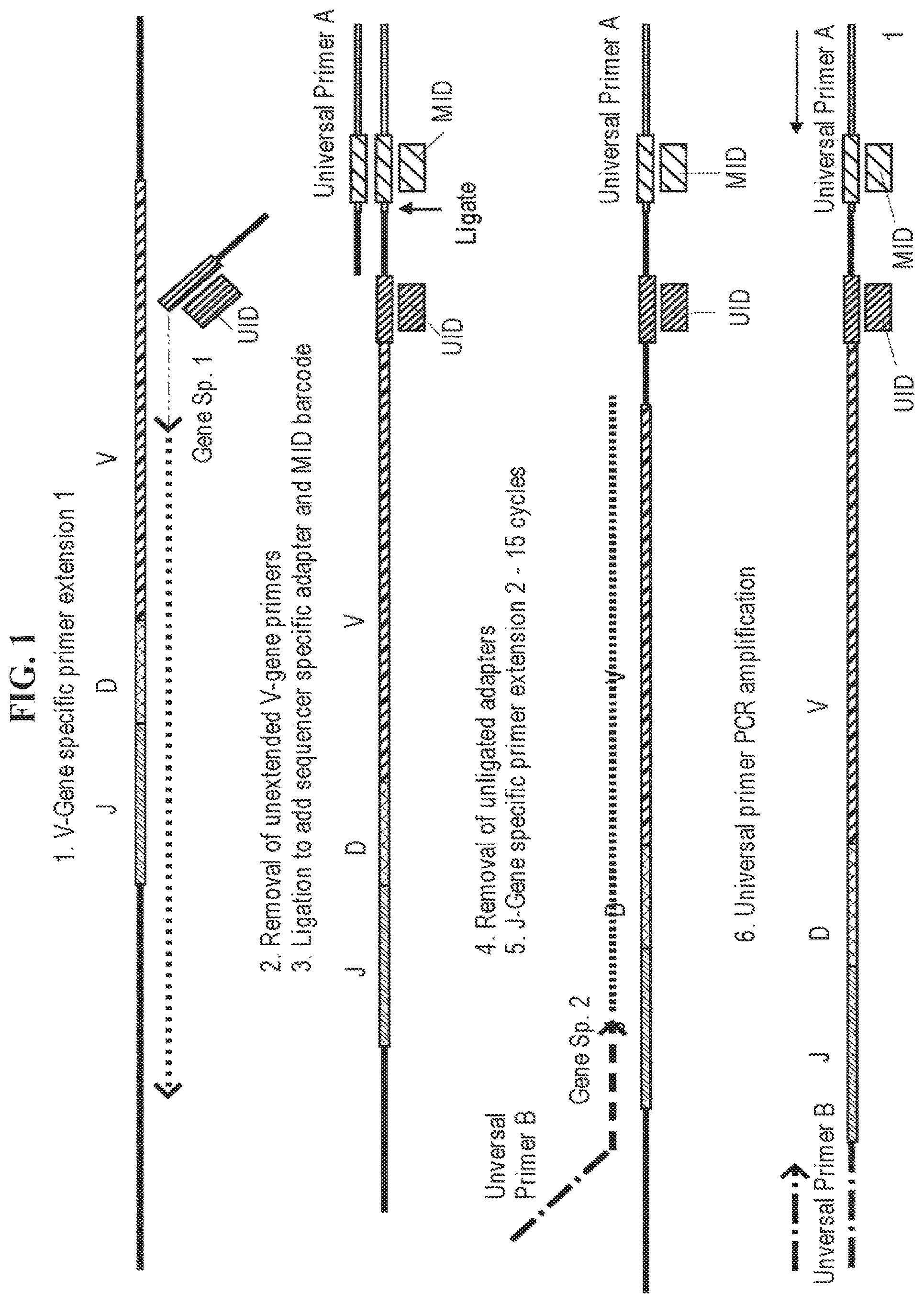 Patent US11773511 Figure 1 – Immune profiling by primer extension target enrichment