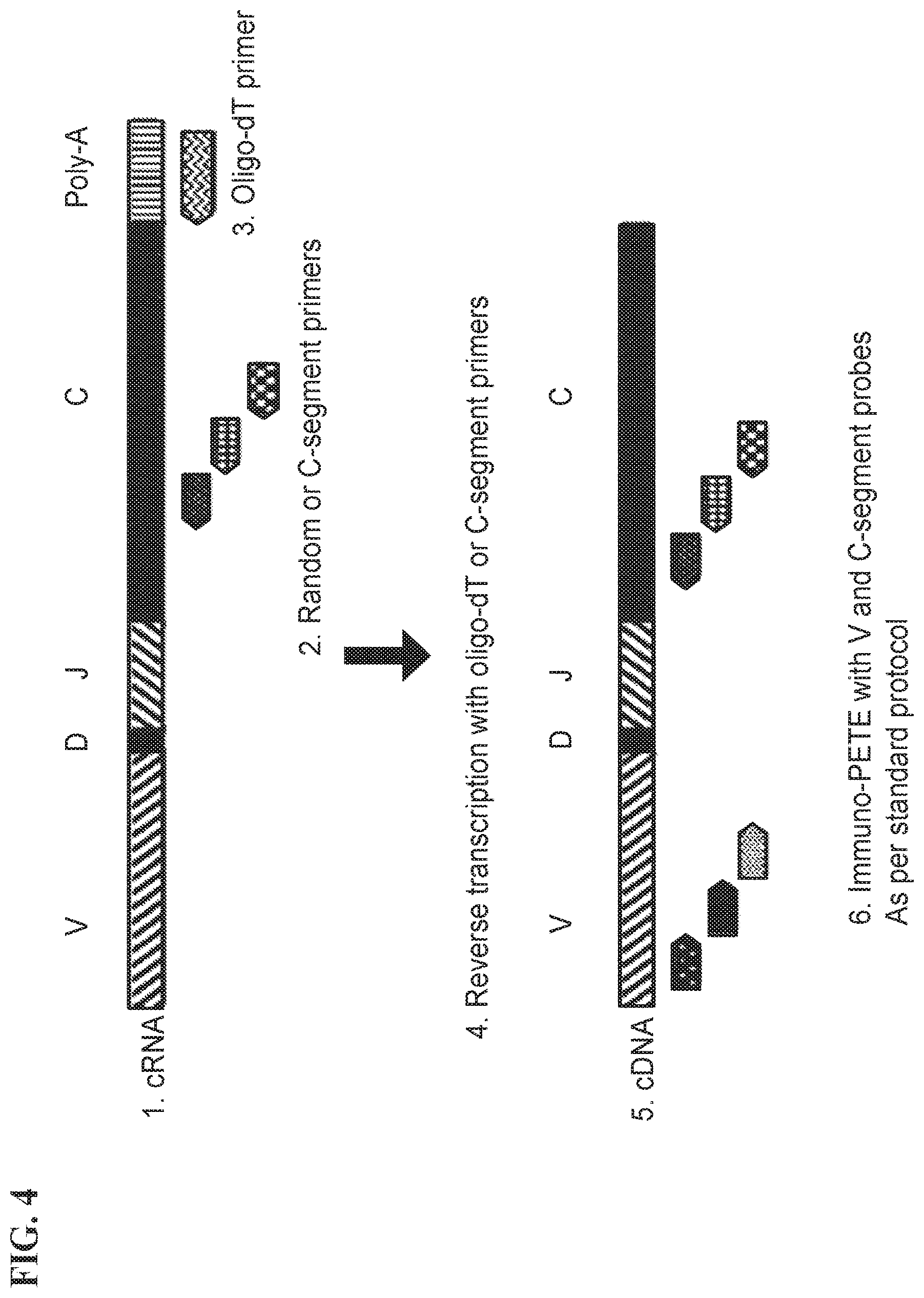 Patent US11773511 Figure 4 – Immune profiling by primer extension target enrichment