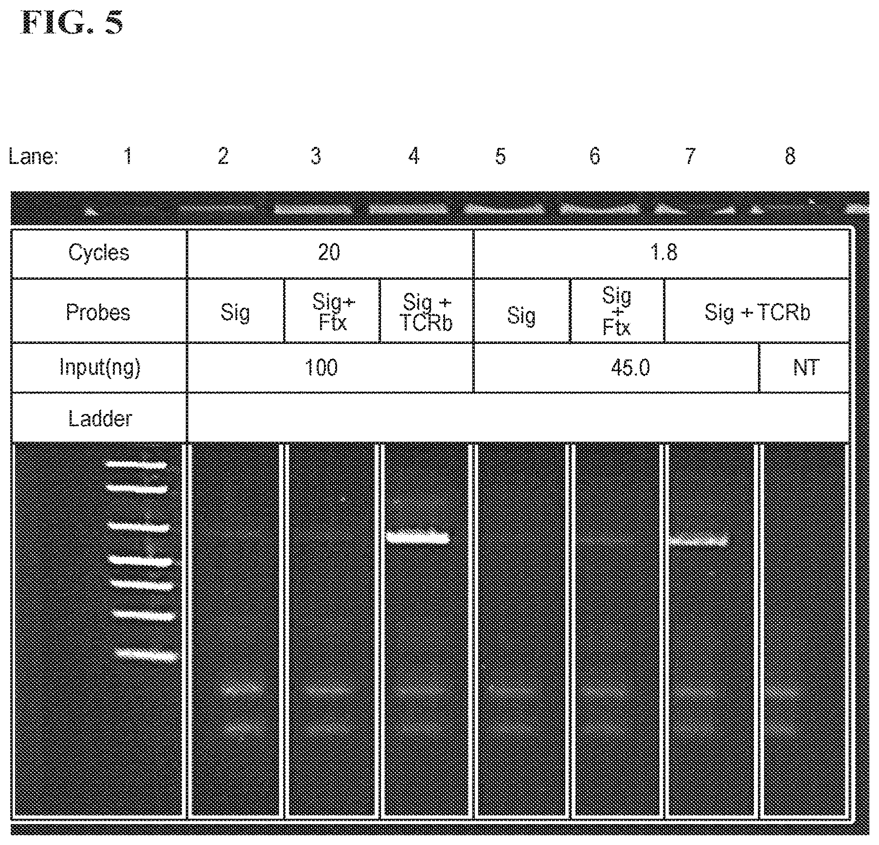 Patent US11773511 Figure 5 – Immune profiling by primer extension target enrichment