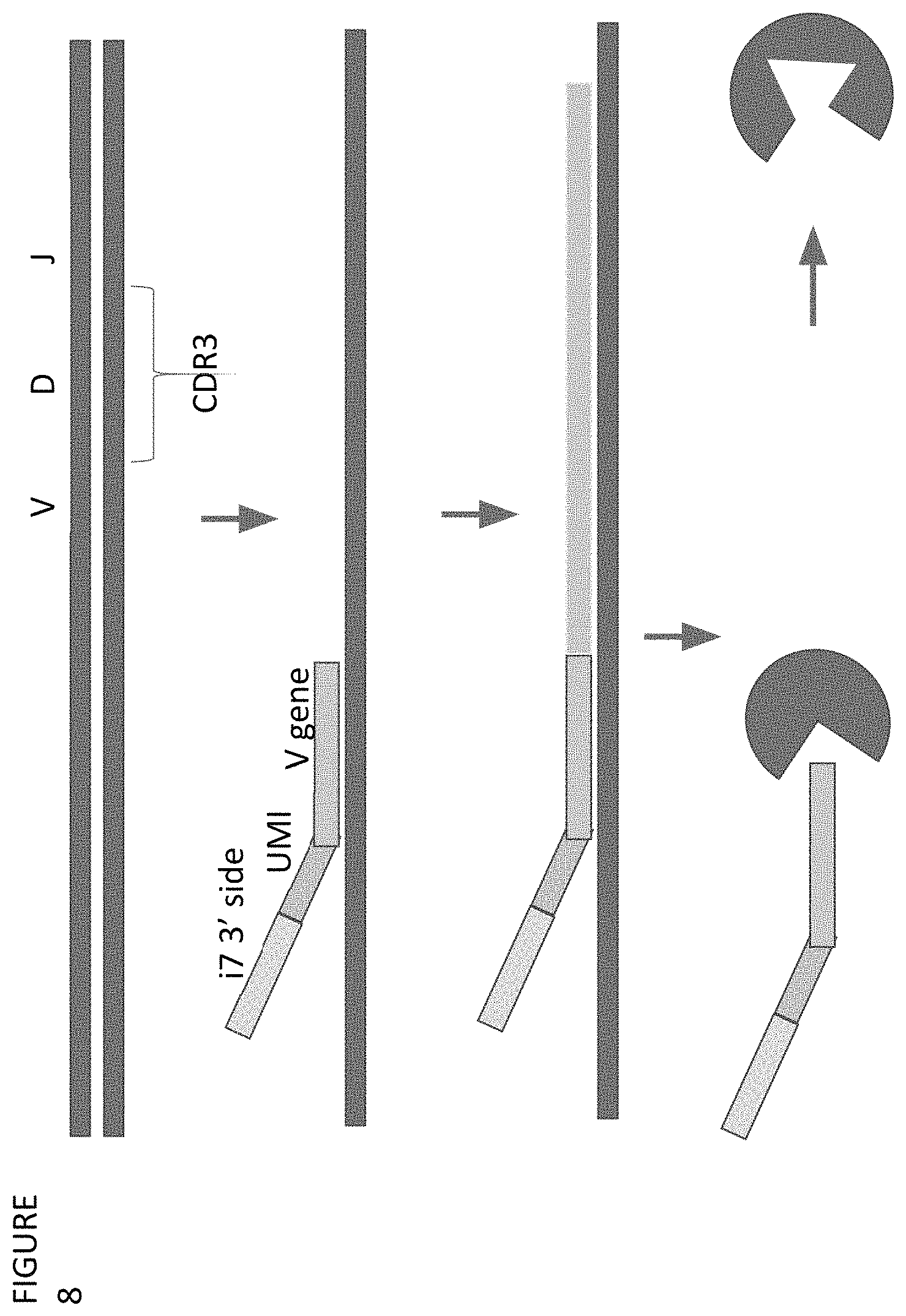 Patent US11773511 Figure 8 – Immune profiling by primer extension target enrichment