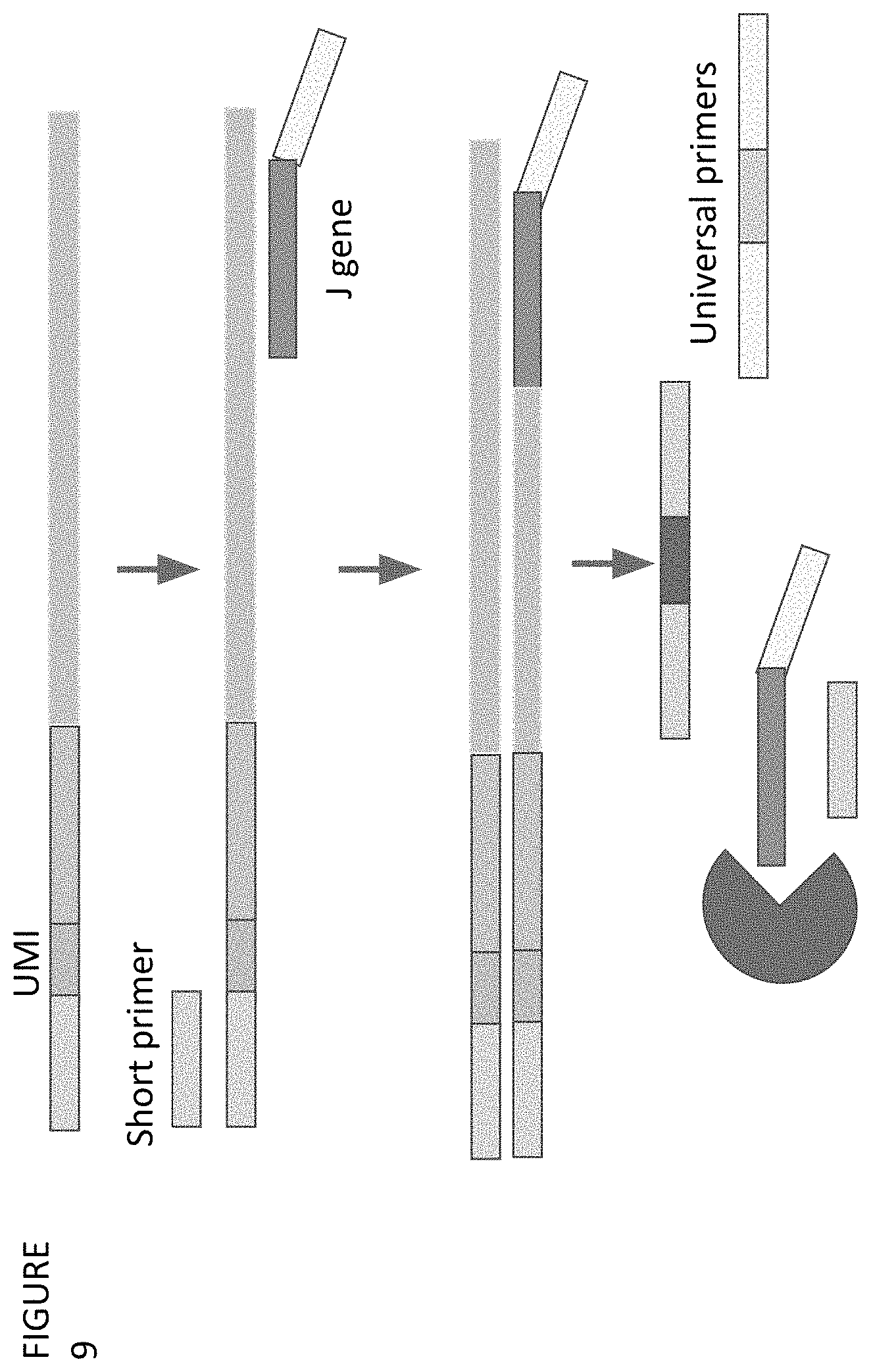Patent US11773511 Figure 9 – Immune profiling by primer extension target enrichment