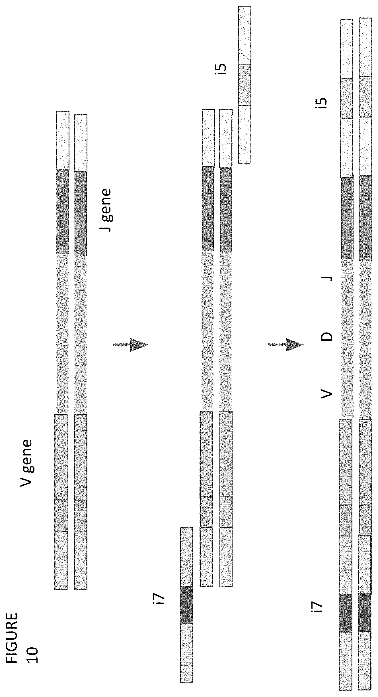 Patent US11773511 Figure 10 – Immune profiling by primer extension target enrichment
