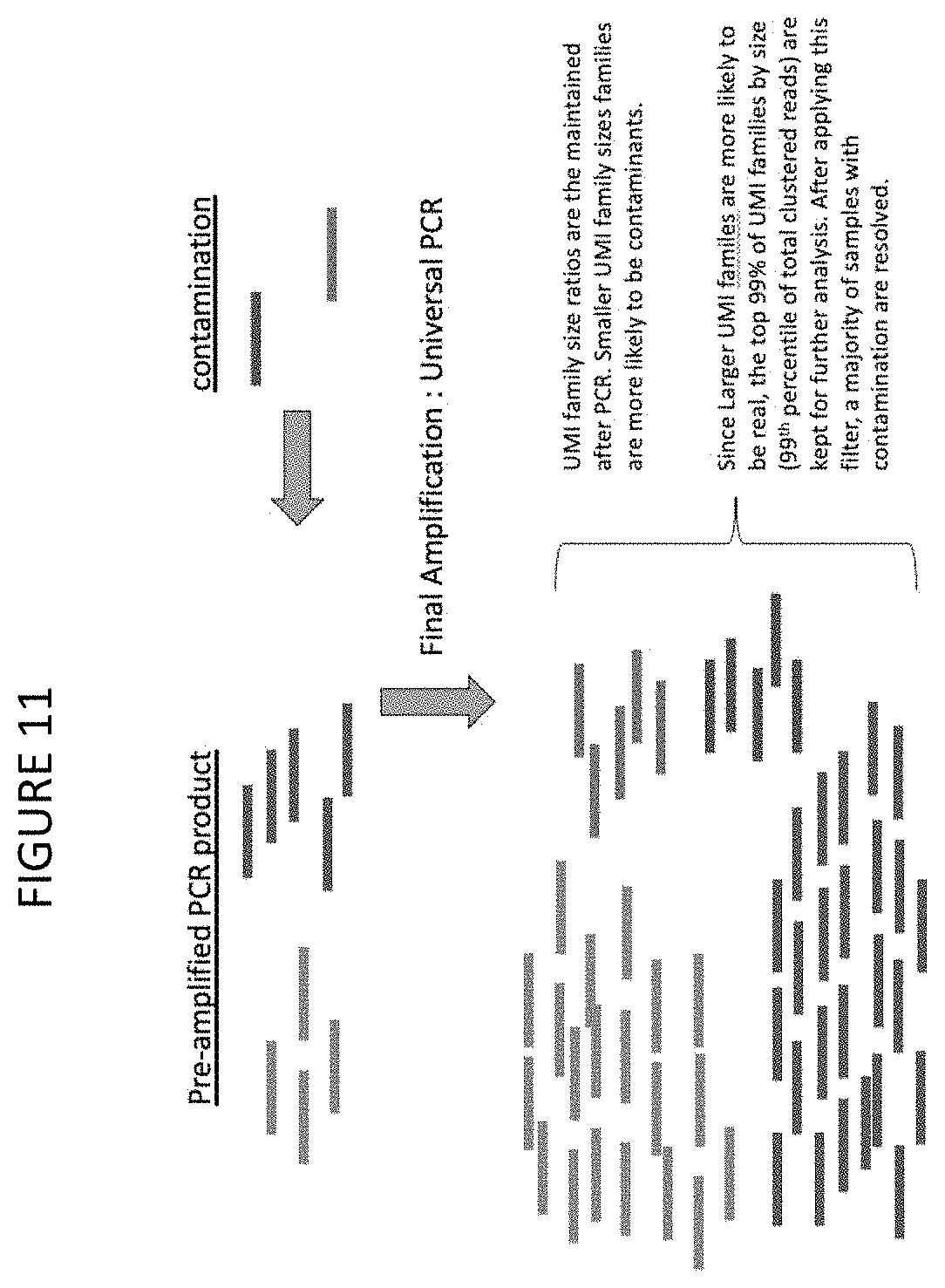 Patent US11773511 Figure 11 – Immune profiling by primer extension target enrichment