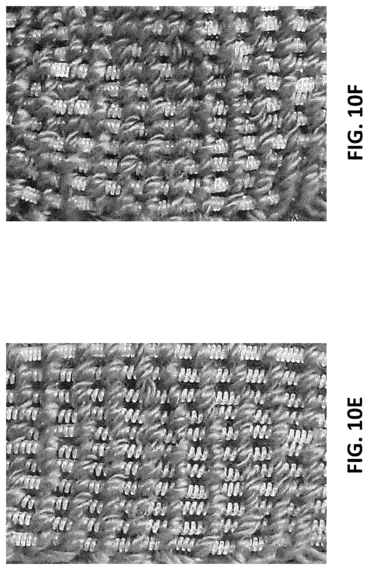 Patent US11773516 Figure 20 – Actuating textiles containing polymer fiber muscles