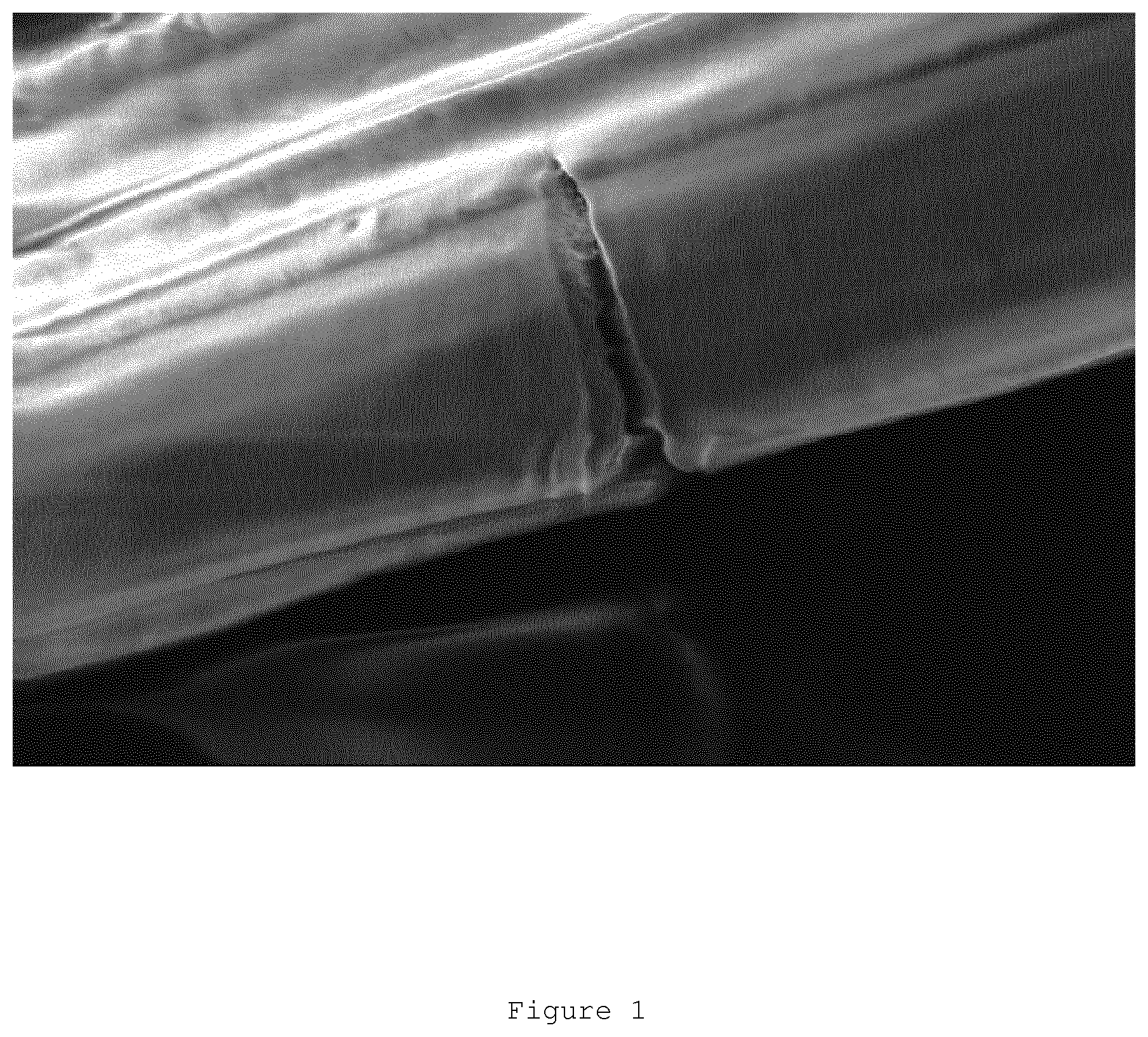 Patent US11773533 Figure 1 – Composition for use in the finishing, preservation, restoration of manufactures
