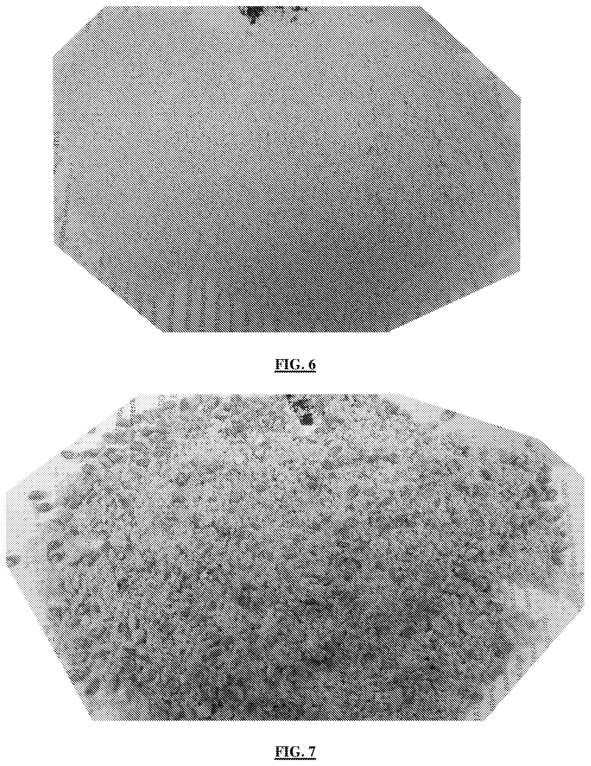 Patent US11774328 Figure 6 – Homogenizer and method of grinding large sample quantities