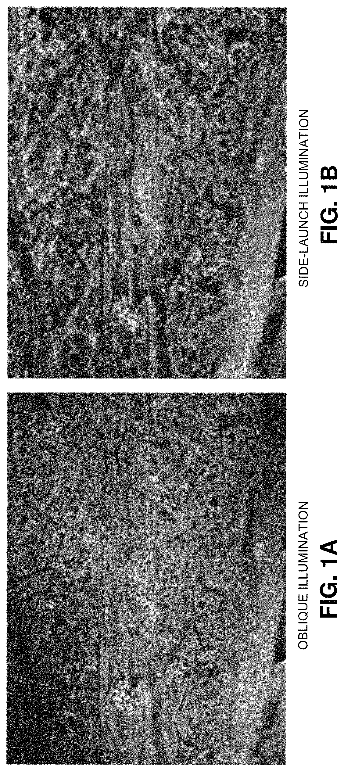Patent US11774361 Figure 1 – Waveguide-based side-illumination technique for muse microscopy and associated histology cassettes