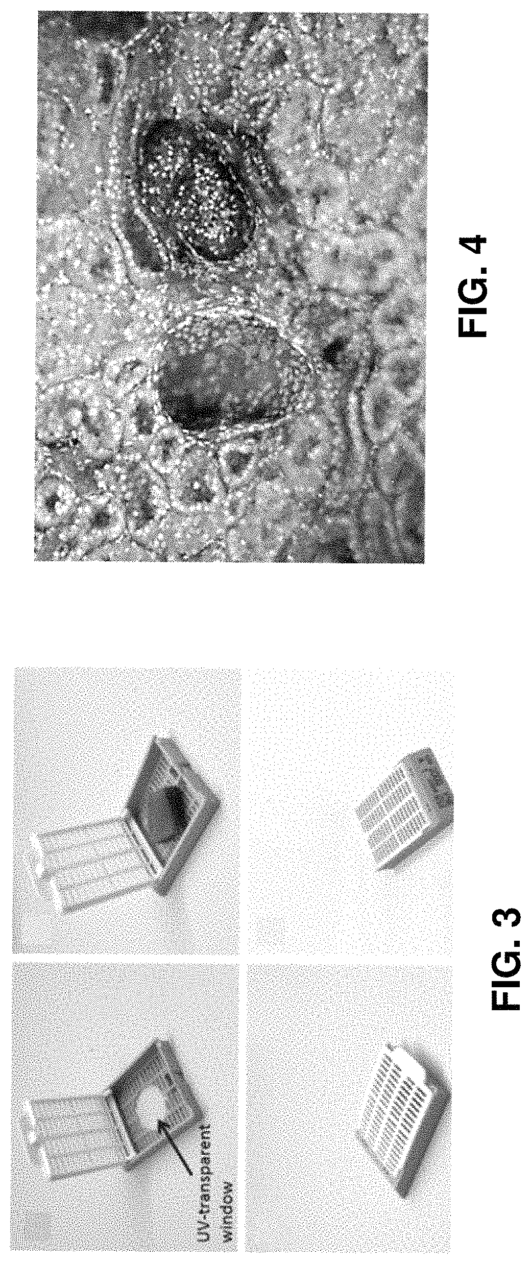 Patent US11774361 Figure 3 – Waveguide-based side-illumination technique for muse microscopy and associated histology cassettes