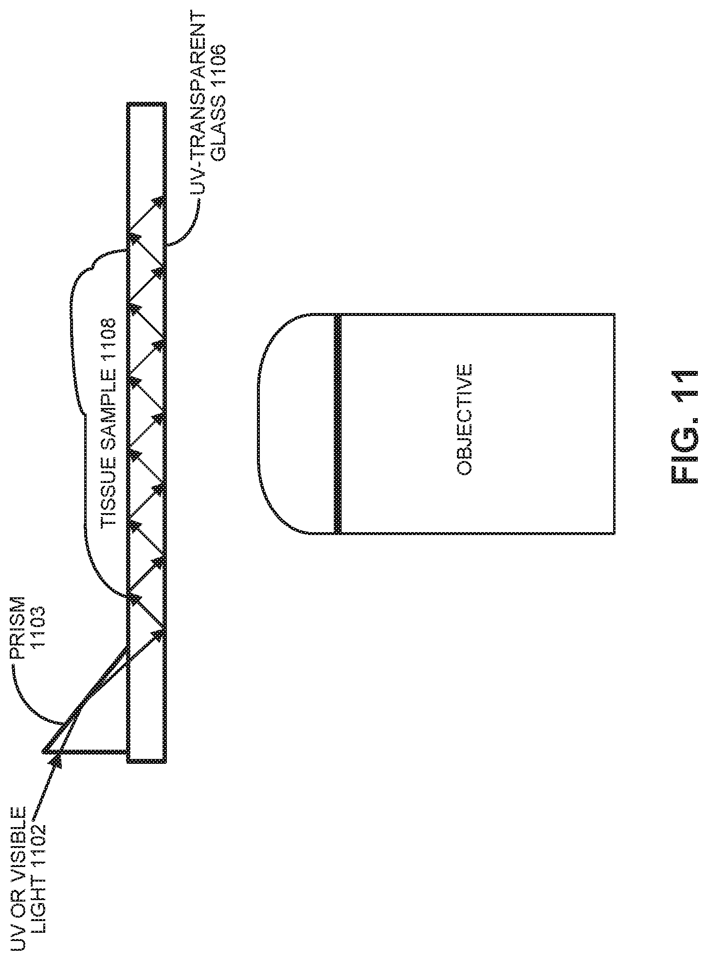Patent US11774361 Figure 10 – Waveguide-based side-illumination technique for muse microscopy and associated histology cassettes