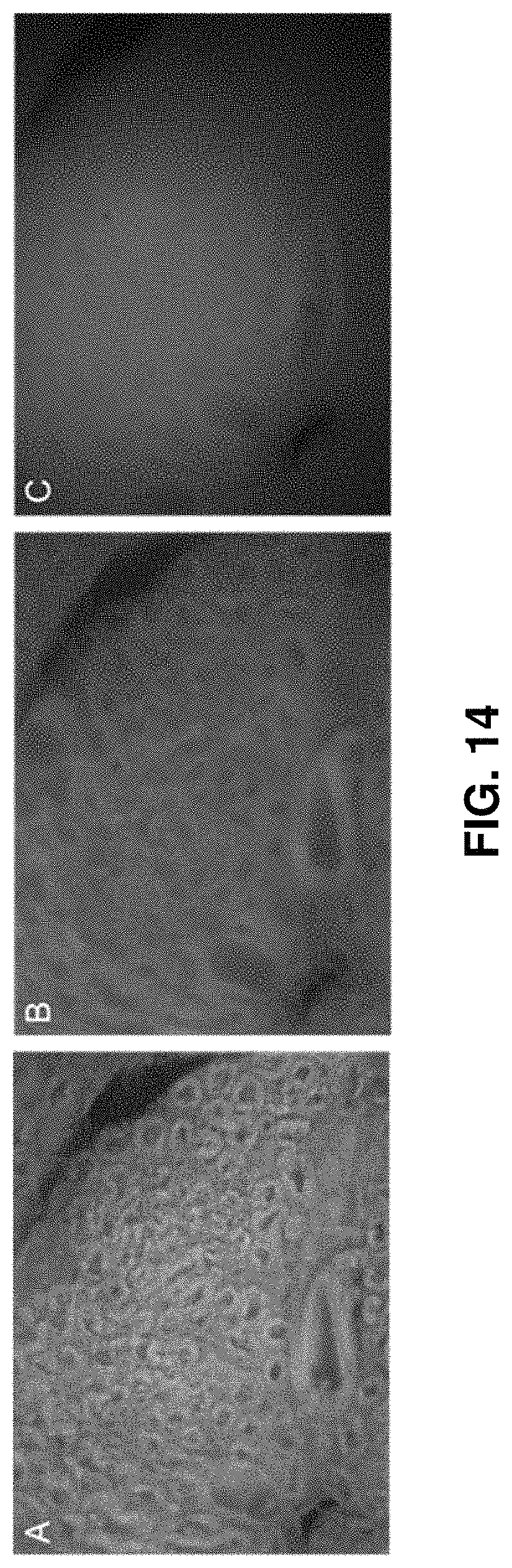 Patent US11774361 Figure 13 – Waveguide-based side-illumination technique for muse microscopy and associated histology cassettes
