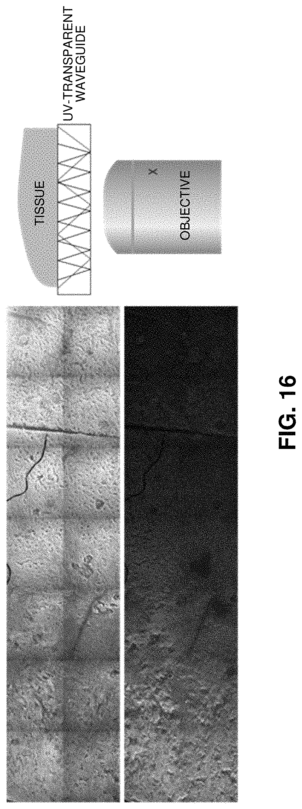 Patent US11774361 Figure 15 – Waveguide-based side-illumination technique for muse microscopy and associated histology cassettes