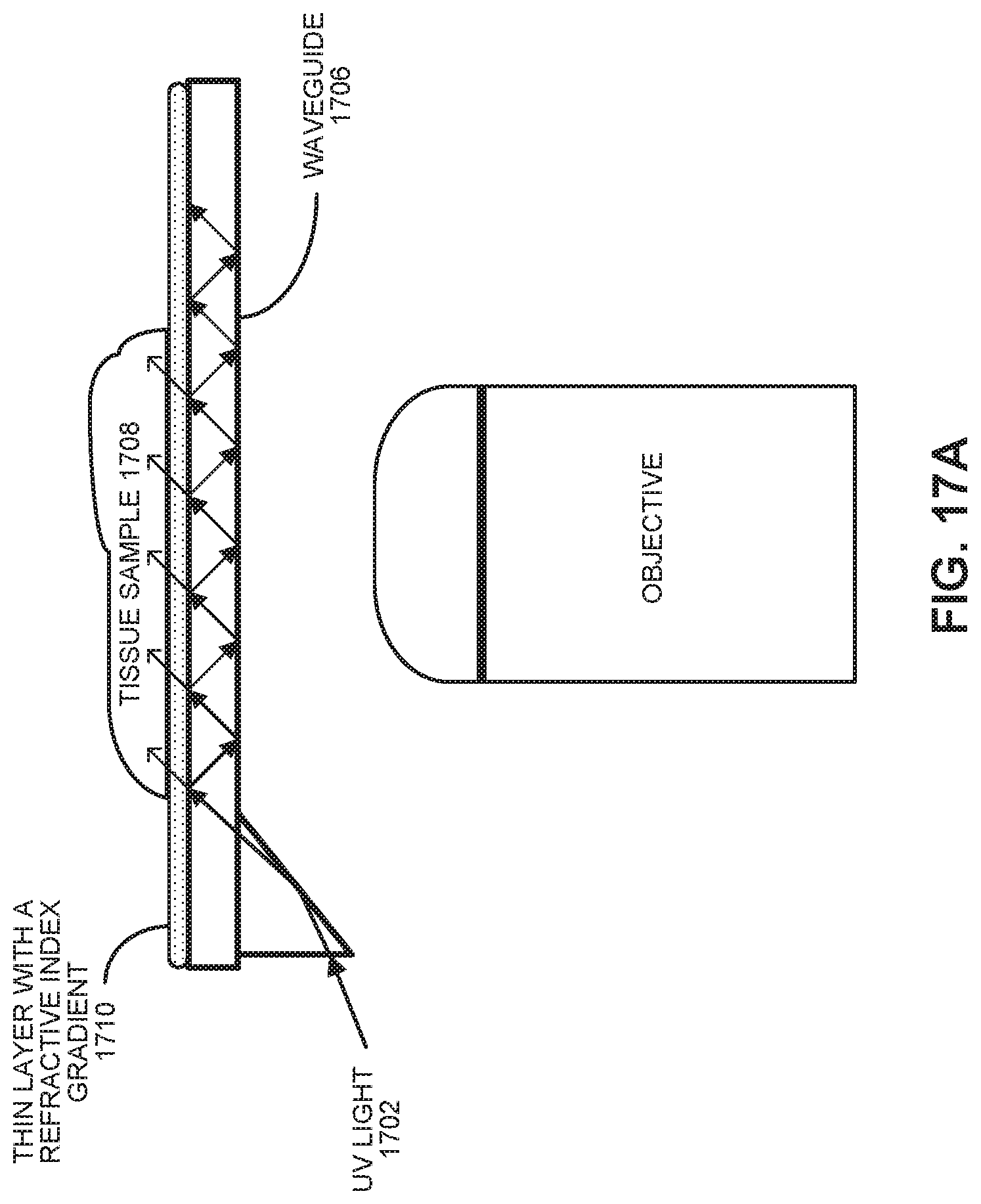 Patent US11774361 Figure 16 – Waveguide-based side-illumination technique for muse microscopy and associated histology cassettes
