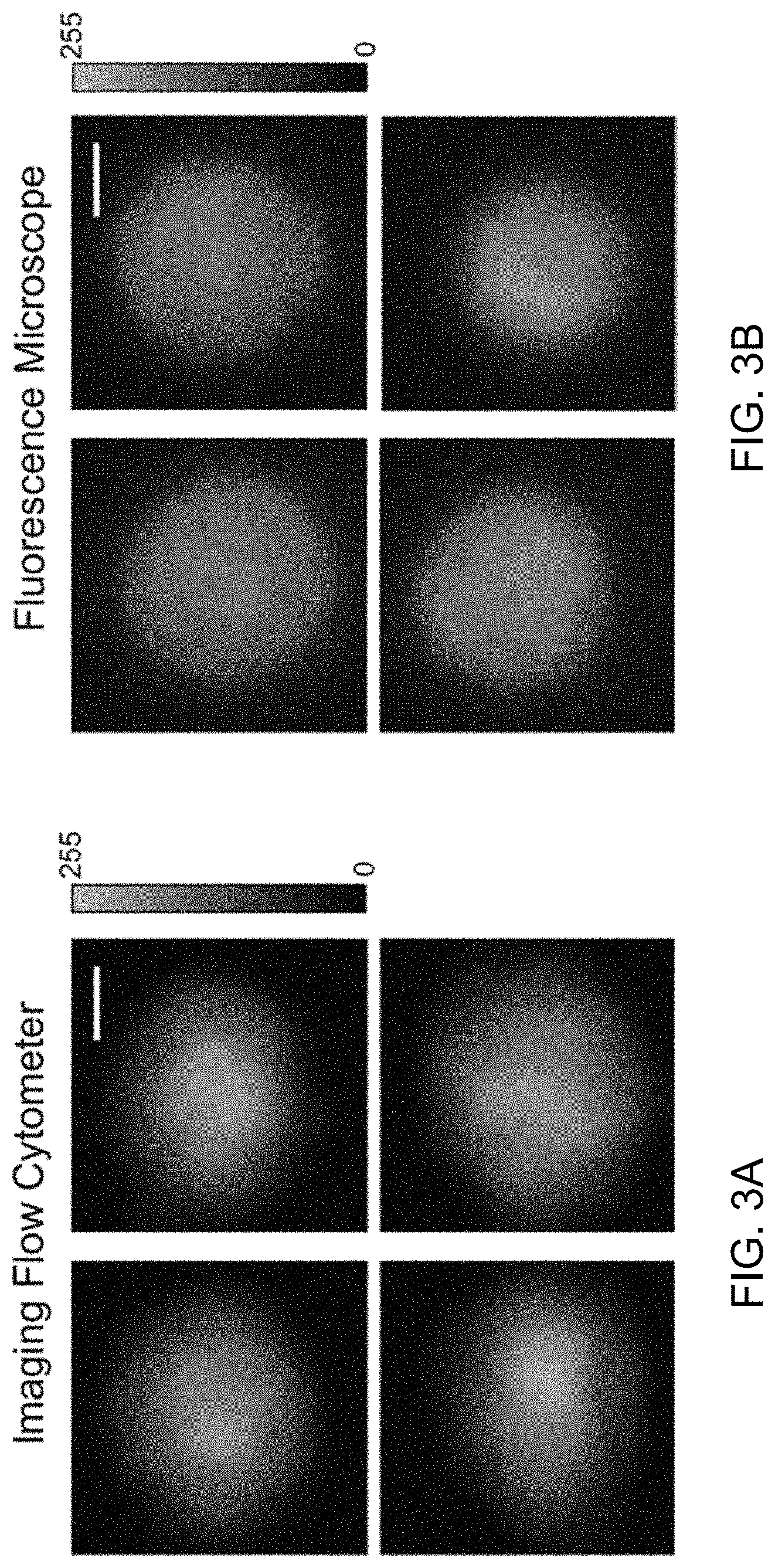 Patent US11774362 Figure 4 – Imaging flow cytometer using spatial-temporal transformation