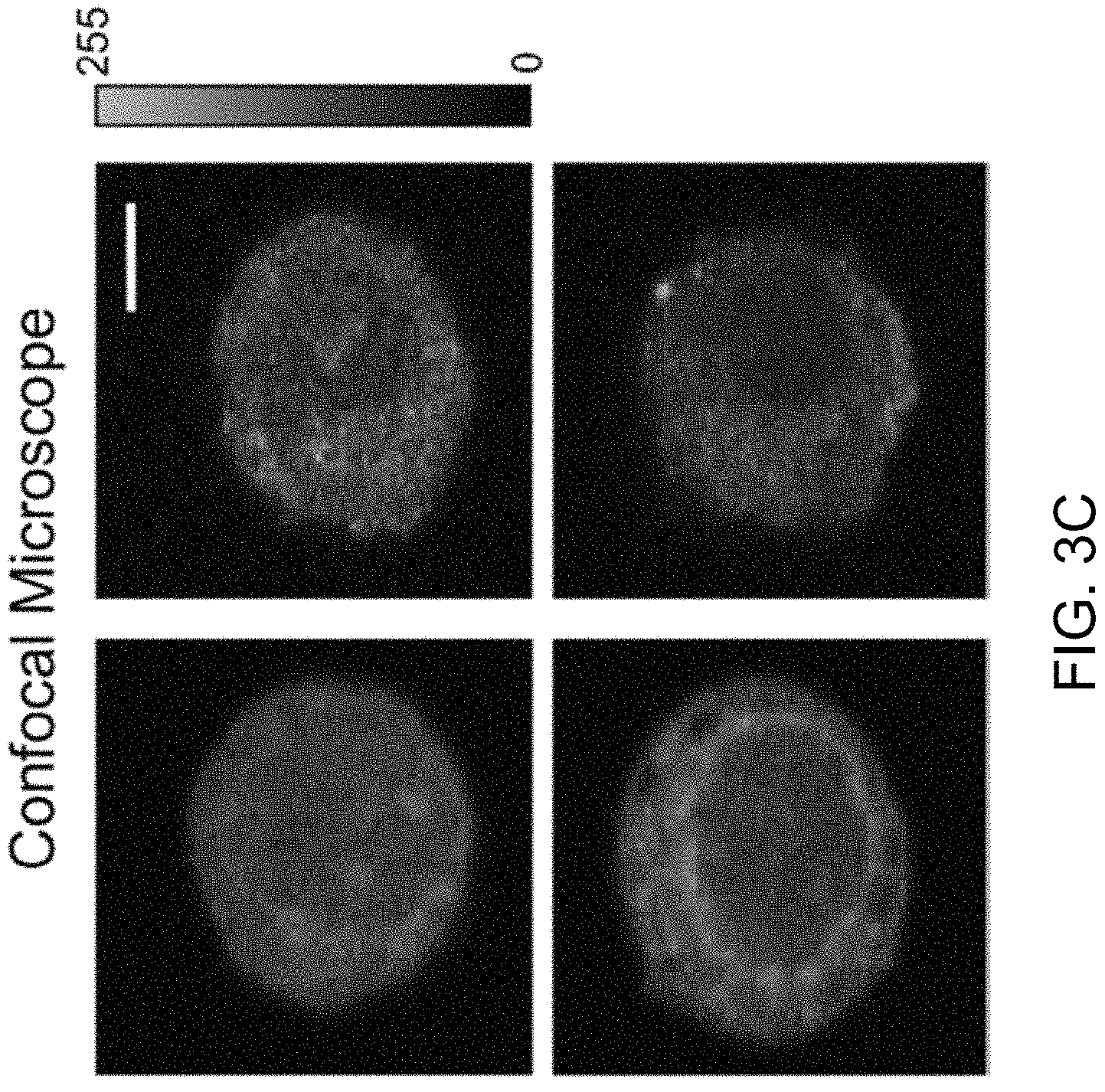 Patent US11774362 Figure 5 – Imaging flow cytometer using spatial-temporal transformation