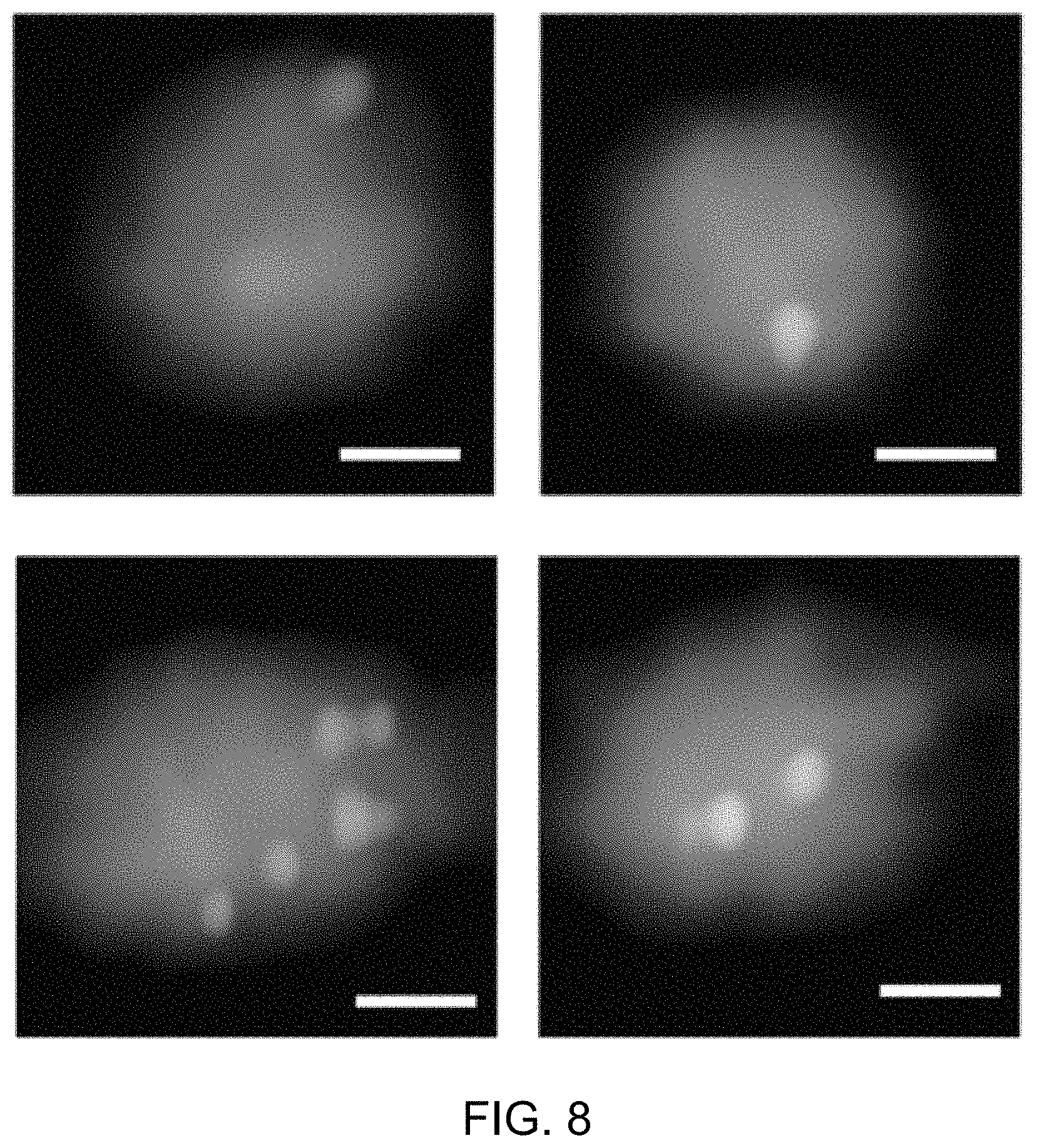 Patent US11774362 Figure 10 – Imaging flow cytometer using spatial-temporal transformation