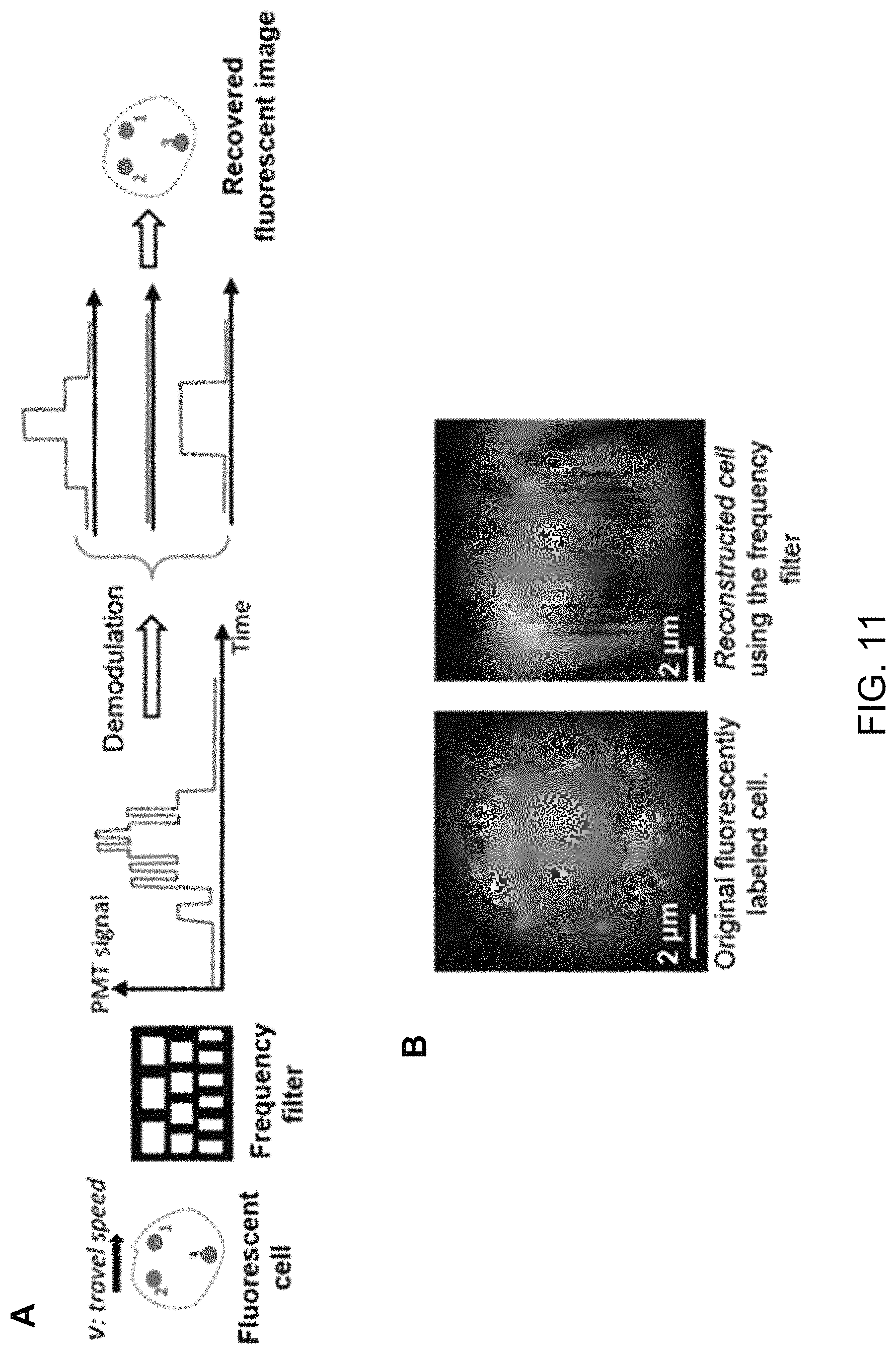 Patent US11774362 Figure 13 – Imaging flow cytometer using spatial-temporal transformation