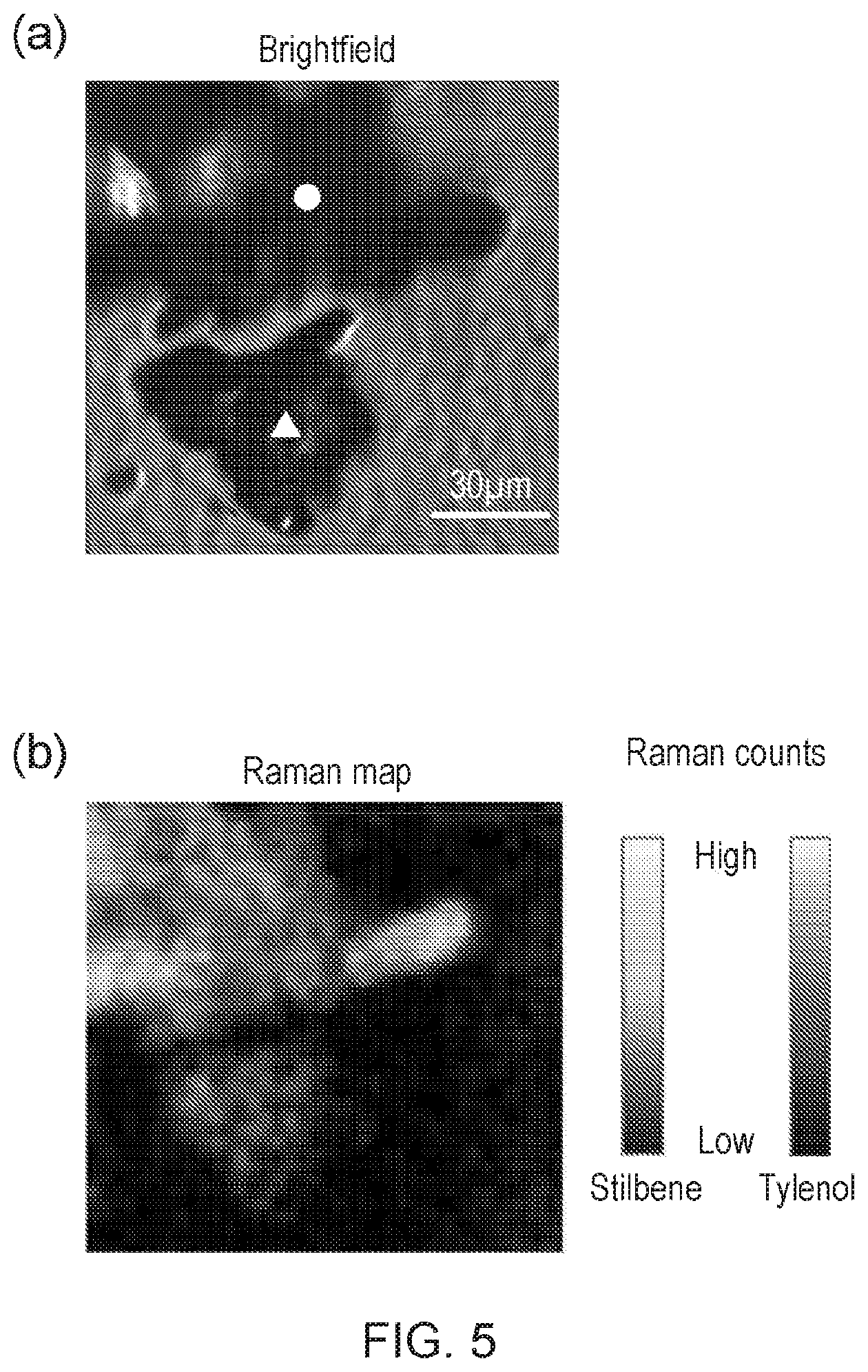 Patent US11774364 Figure 5 – Raman spectroscopy method and apparatus