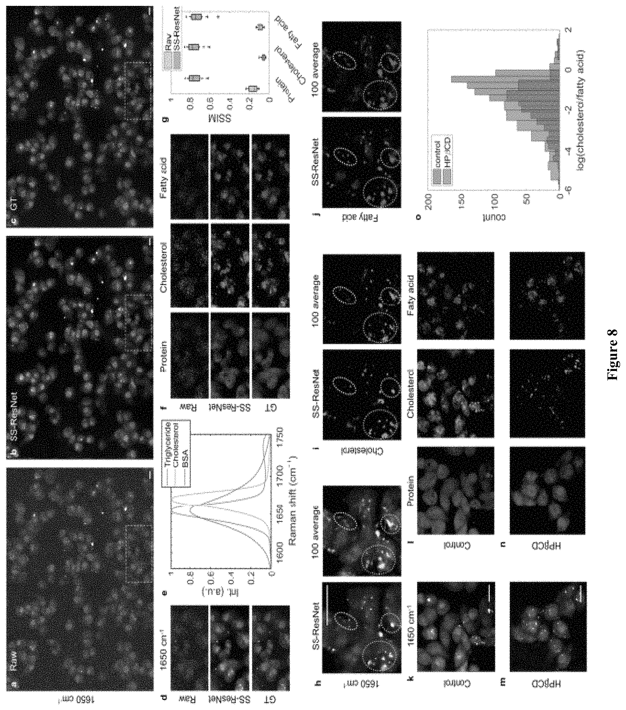 Patent US11774365 Figure 6 – High-speed delay scanning and deep learning techniques for spectroscopic SRS imaging