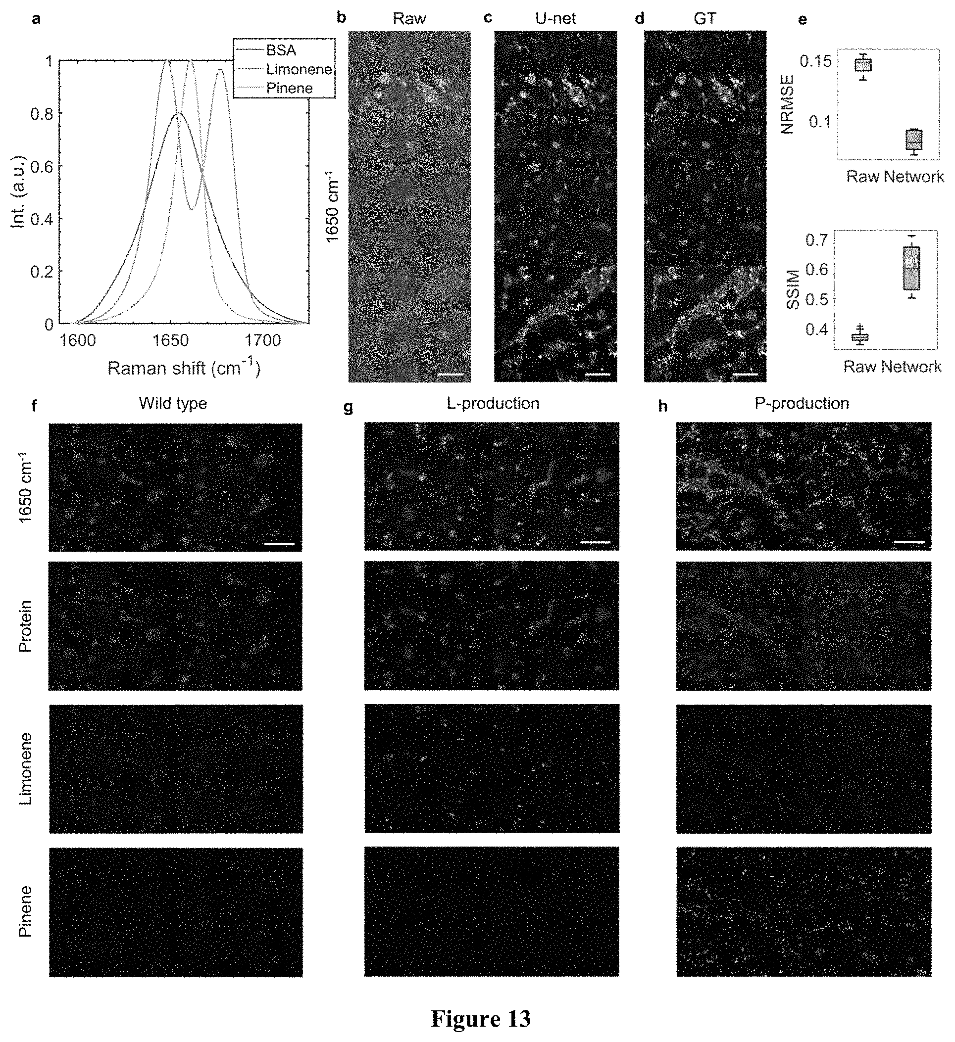 Patent US11774365 Figure 11 – High-speed delay scanning and deep learning techniques for spectroscopic SRS imaging
